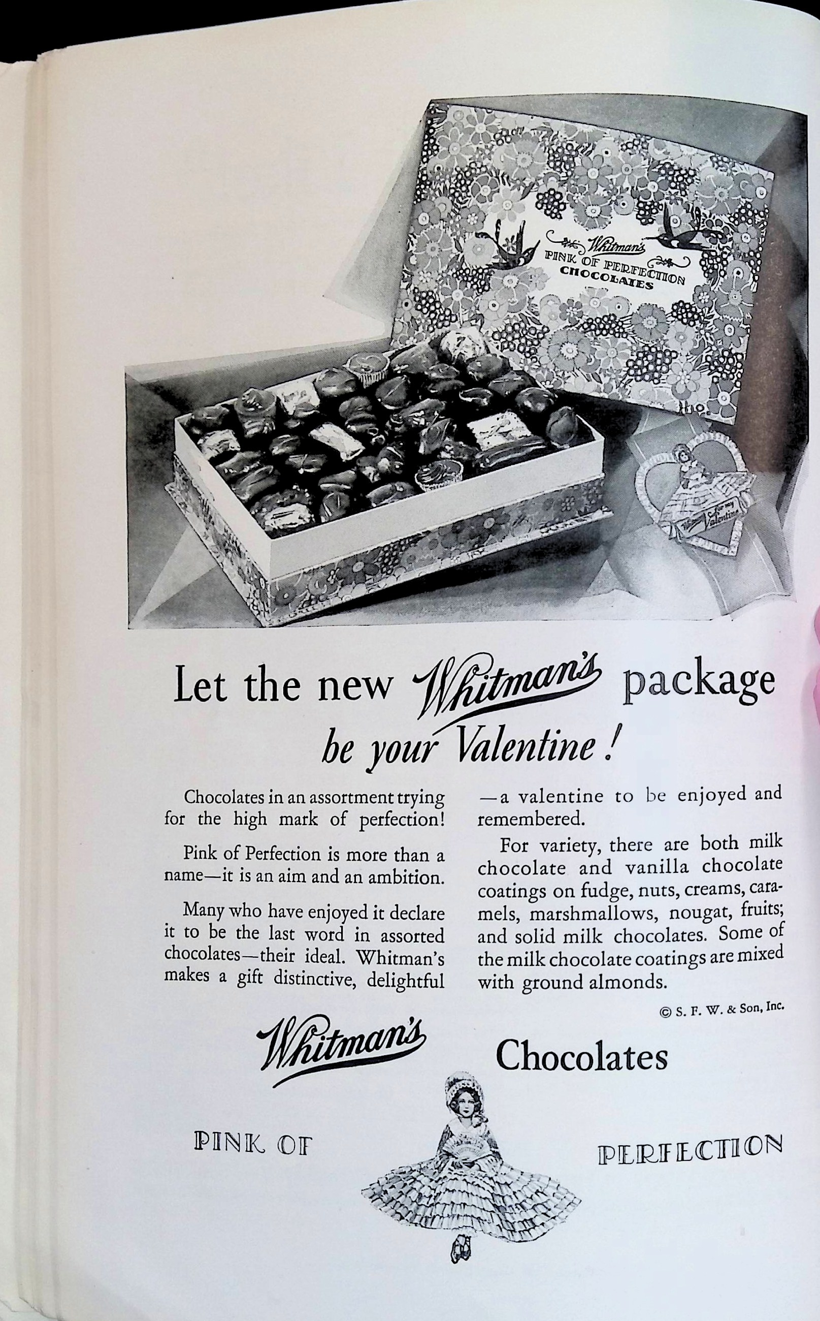 Advertisement ad0029