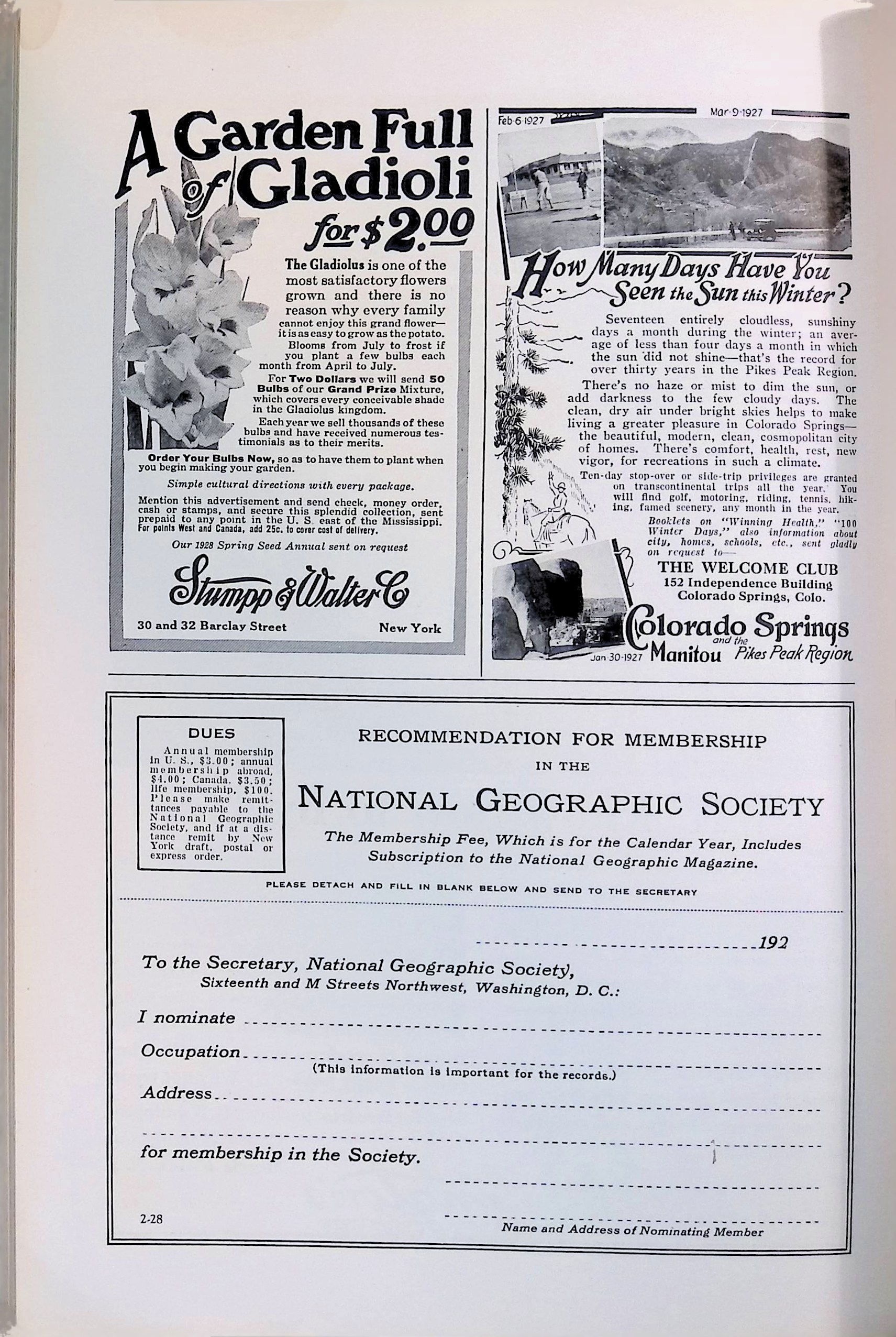 Advertisement ad0051