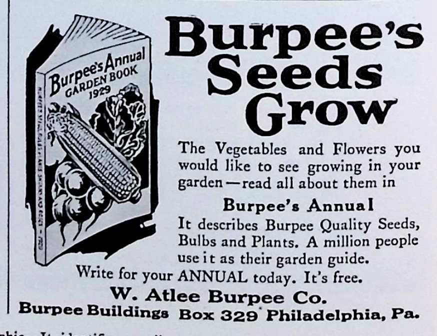 Advertisement image00060