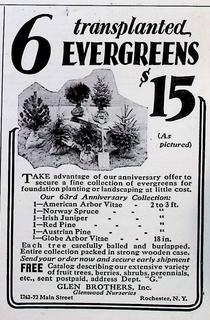 Advertisement image00072