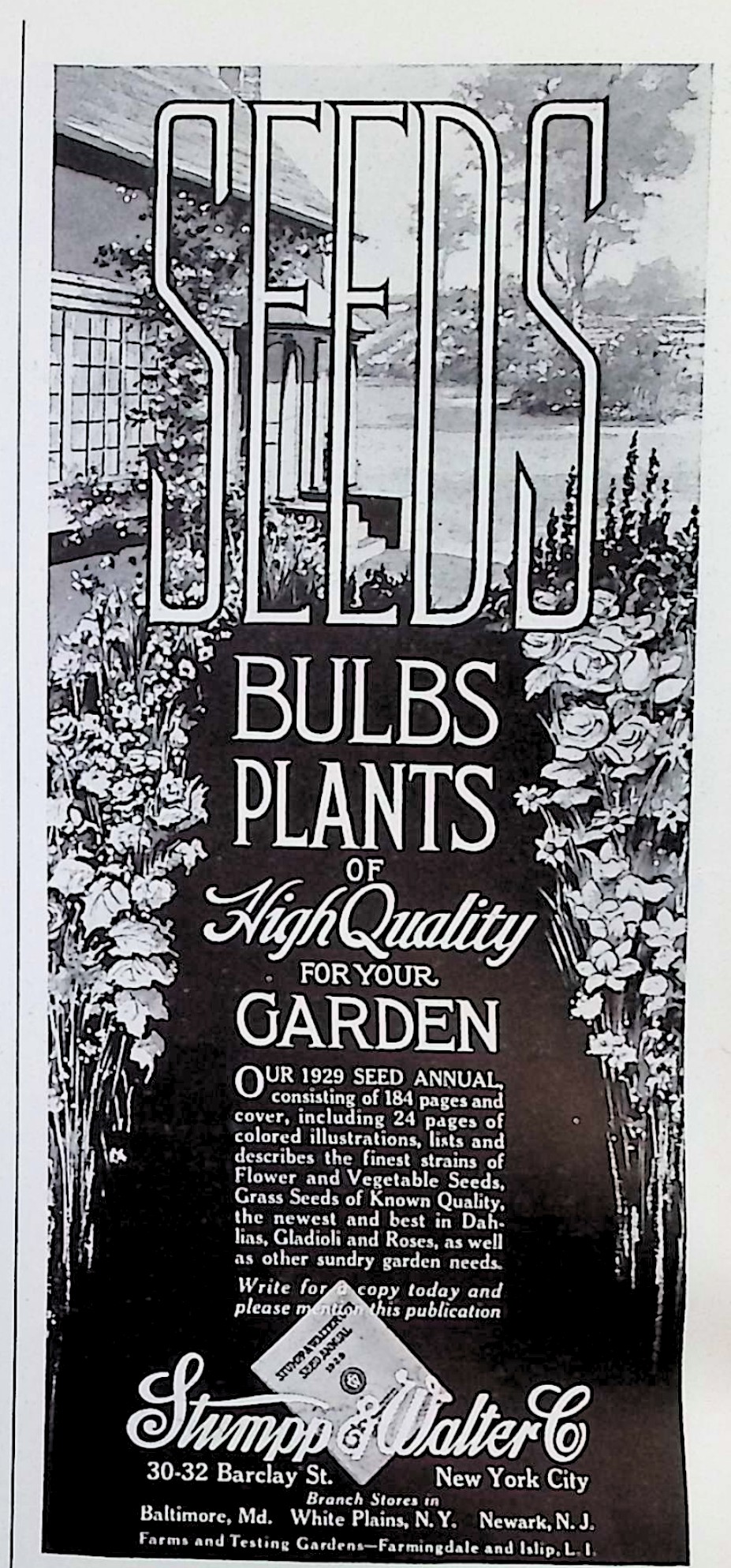 Advertisement image00077