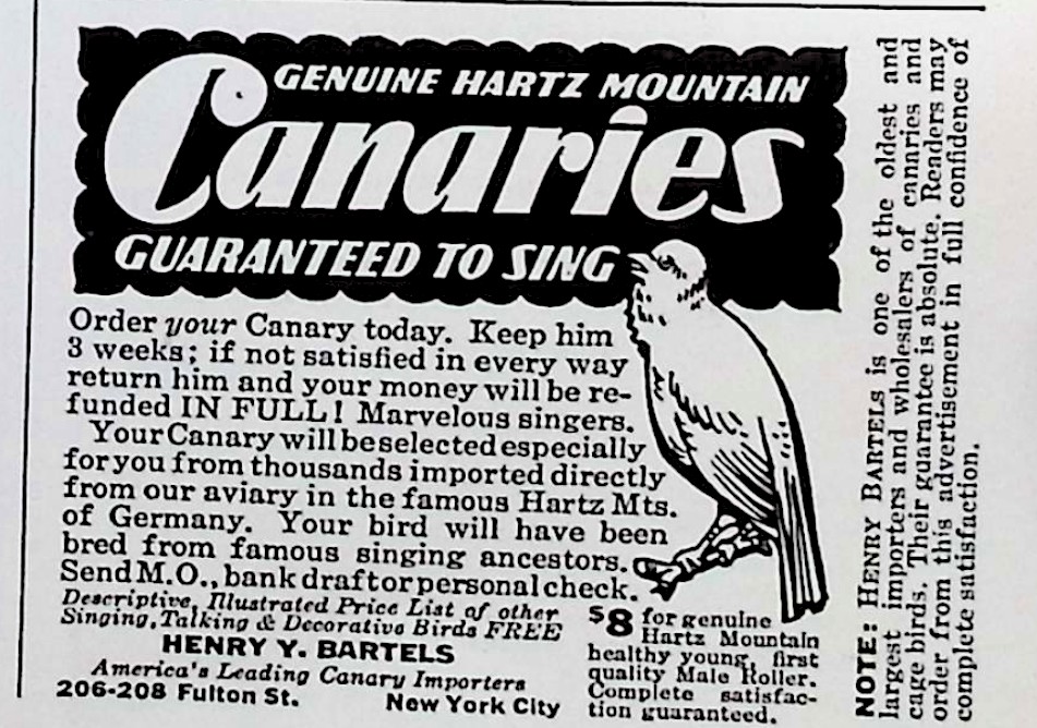 Advertisement image00078