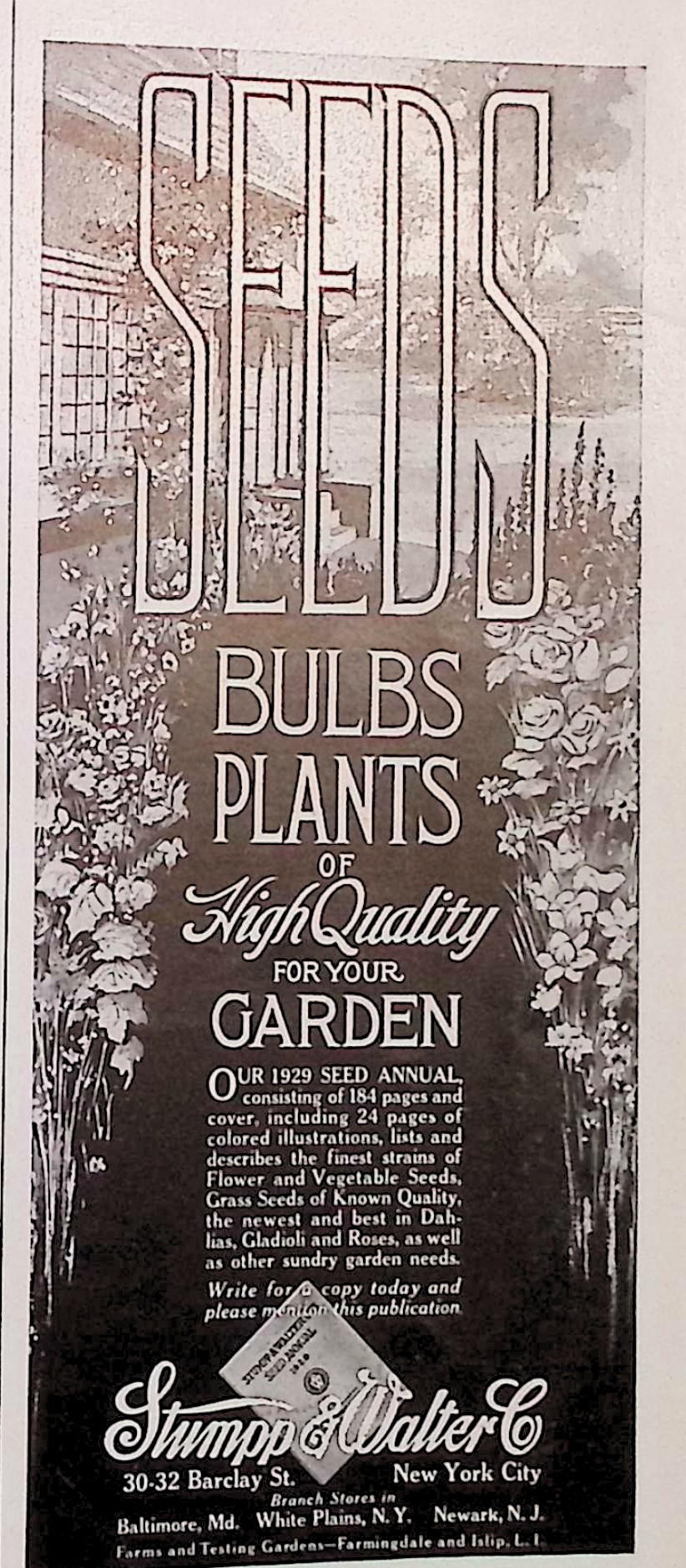 Advertisement image00096