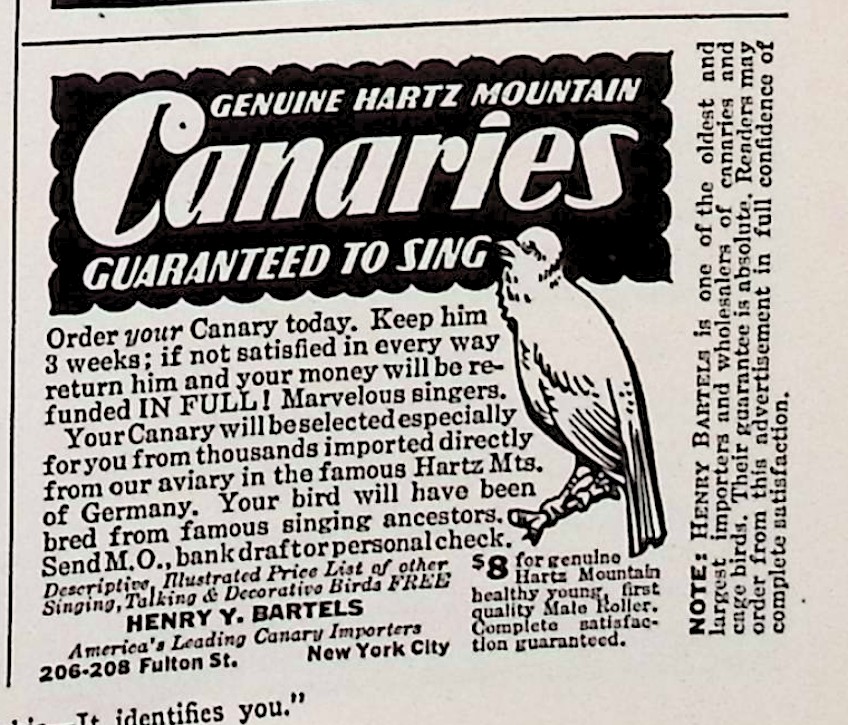 Advertisement image00097