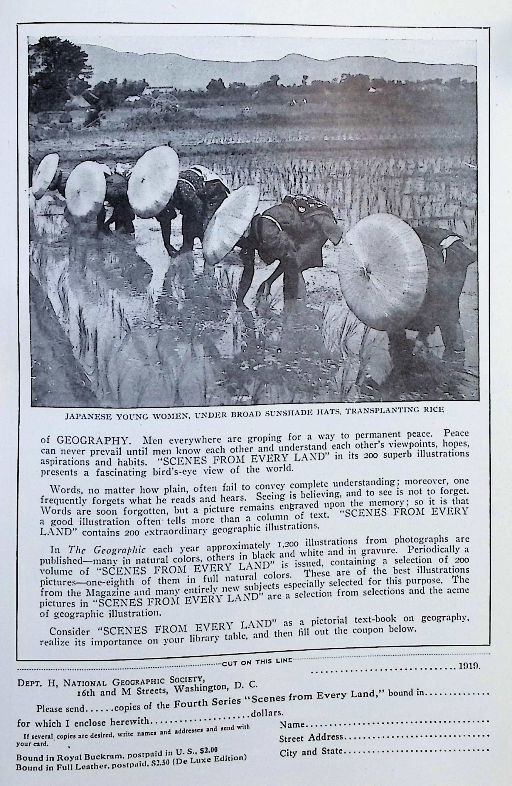 Advertisement image00037