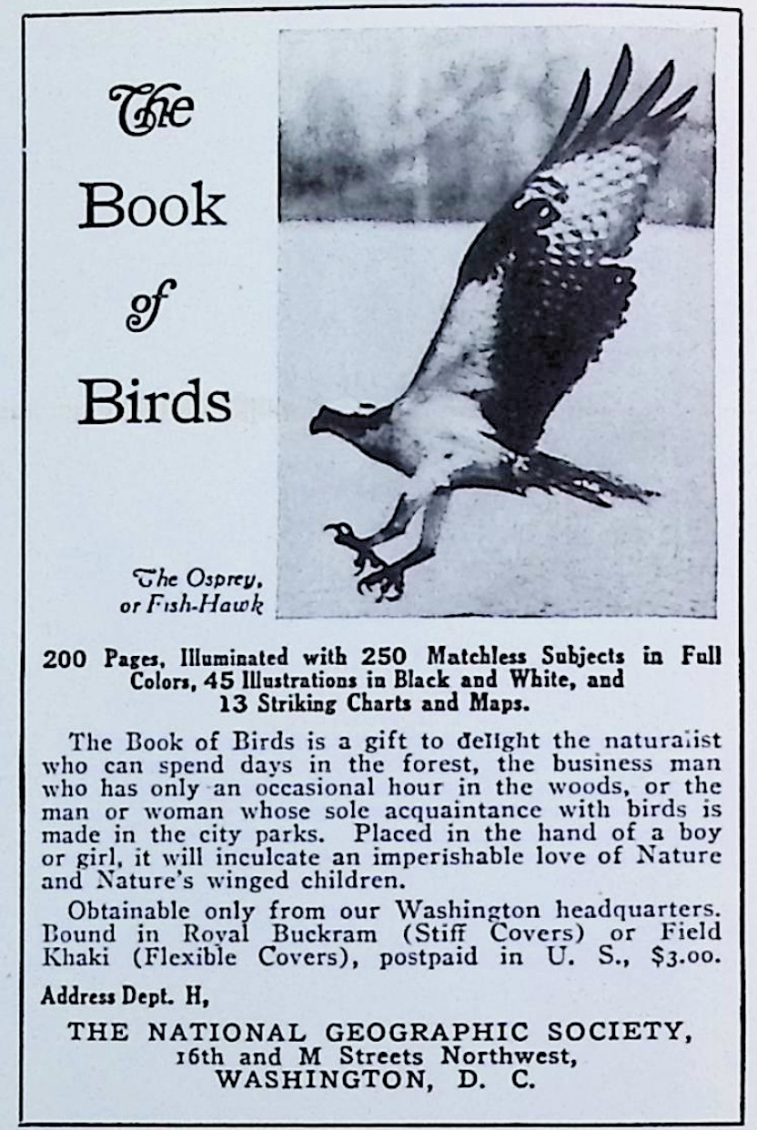 Advertisement image00039