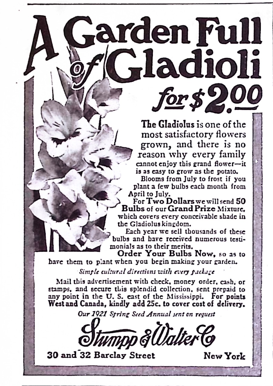 Advertisement image00033