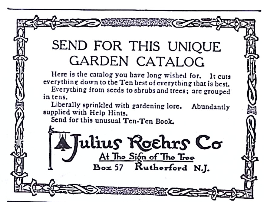 Advertisement image00043