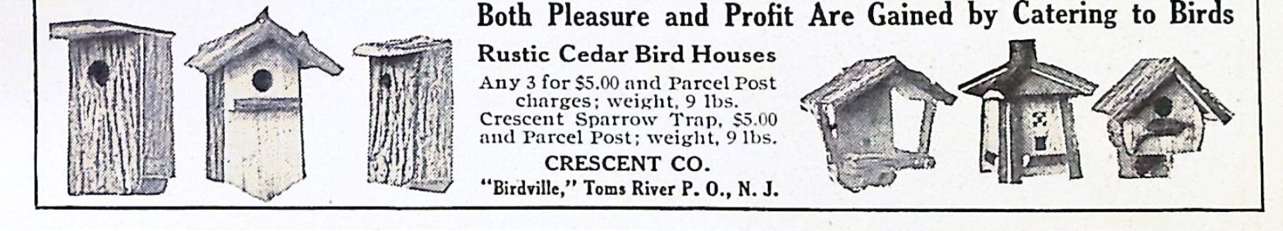 Advertisement image00044