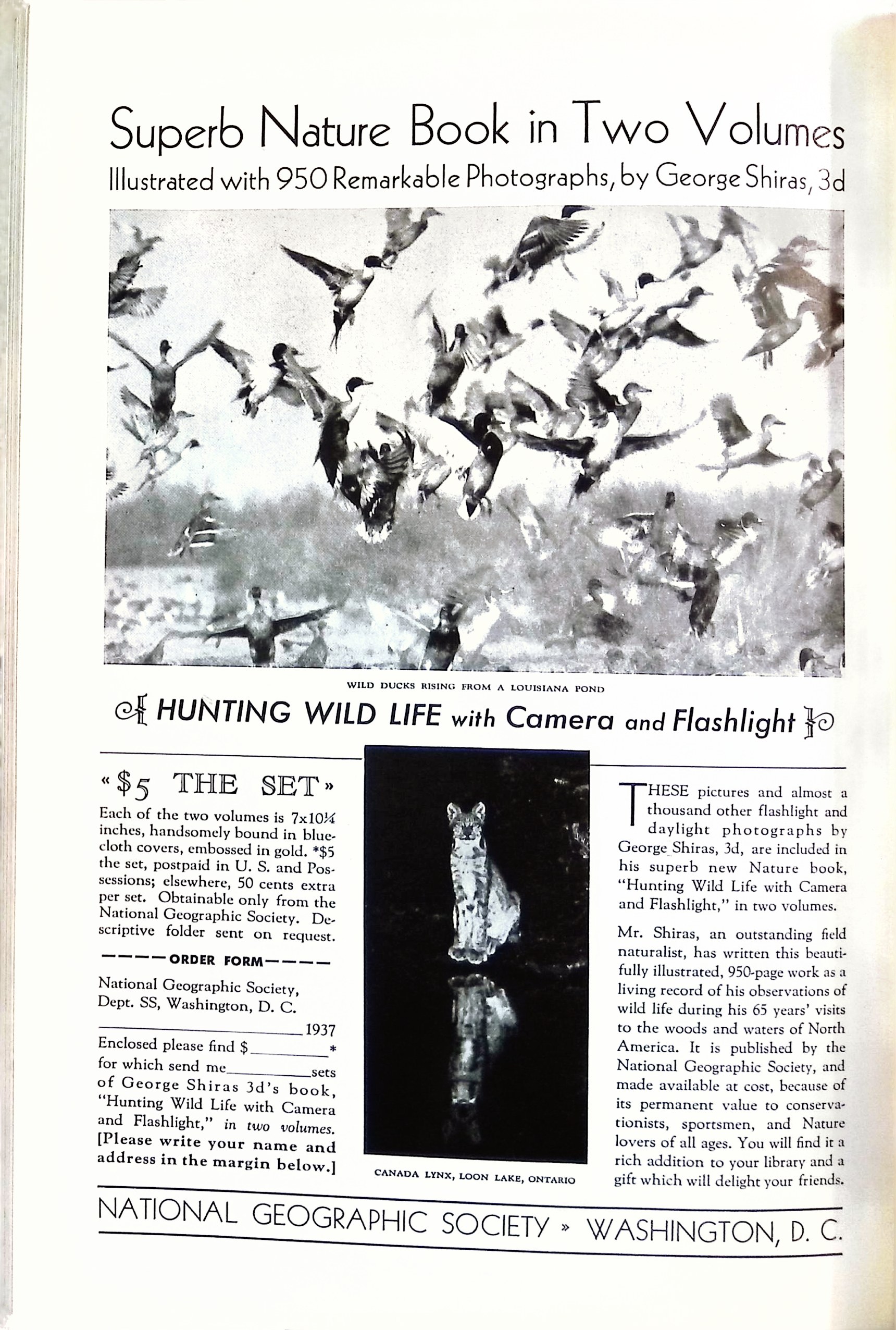 Advertisement ad0045