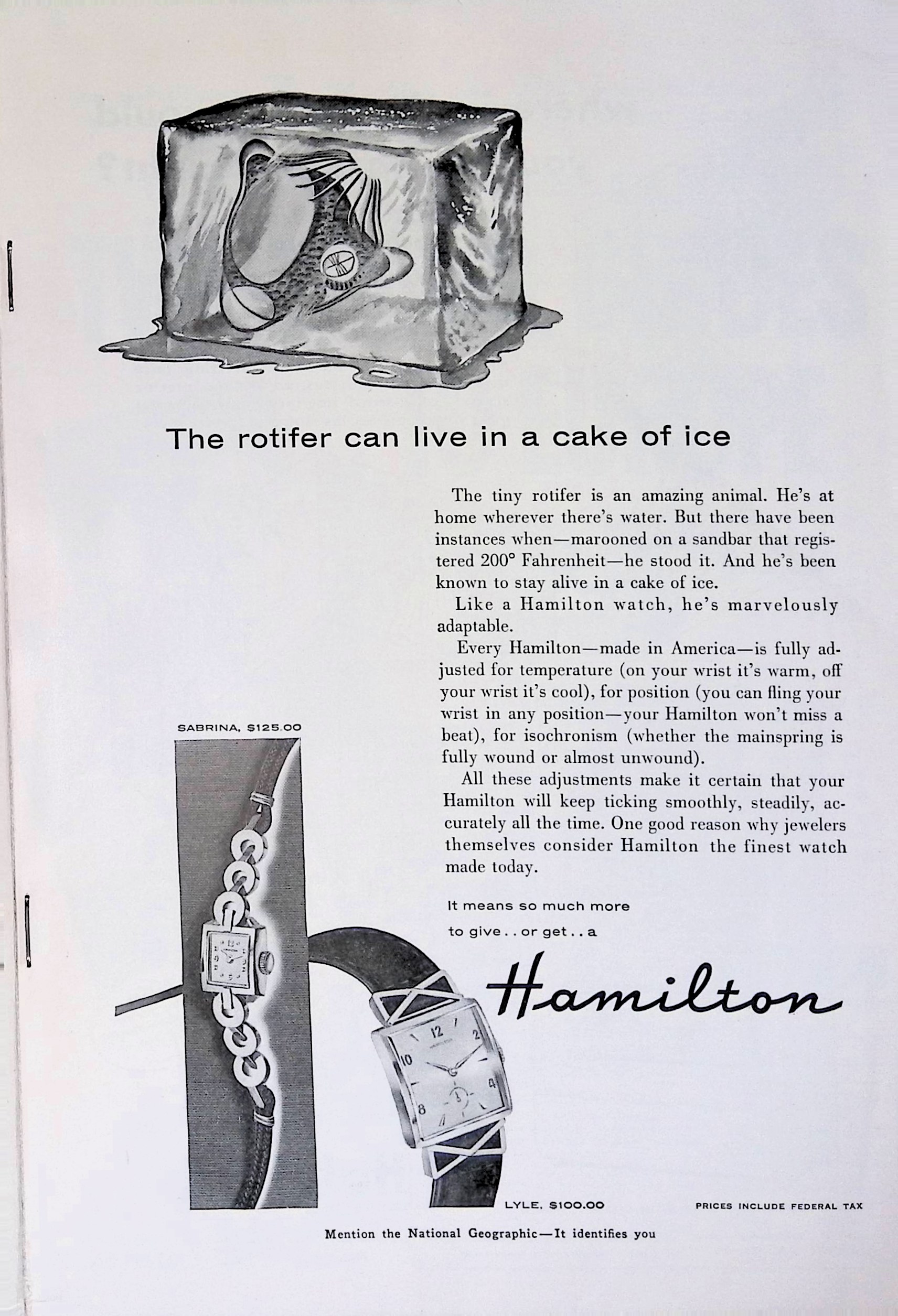 Advertisement ad0003