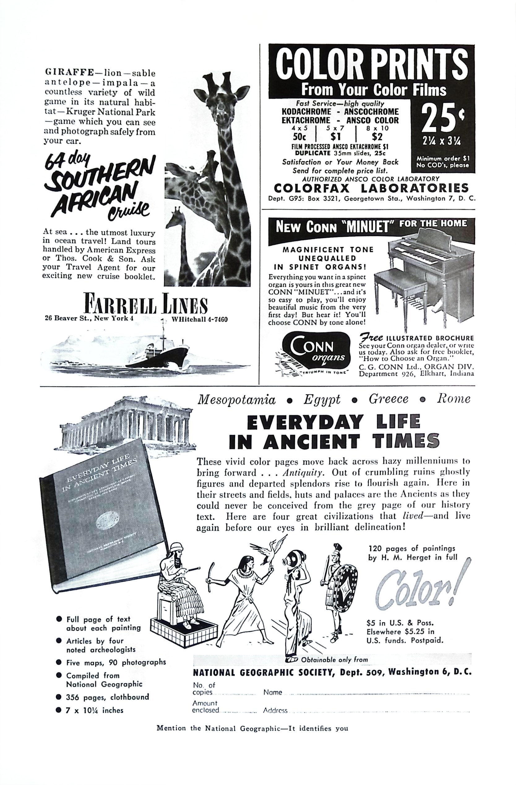 Advertisement ad0040