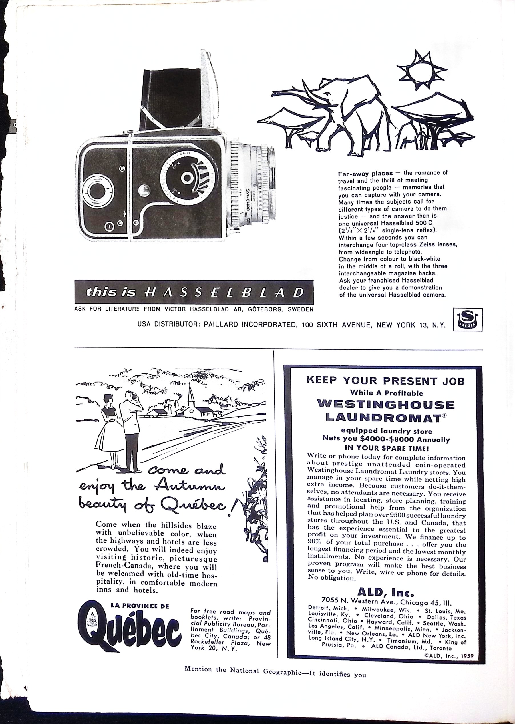 Advertisement IMG_2026_01_20_12_10_26_1