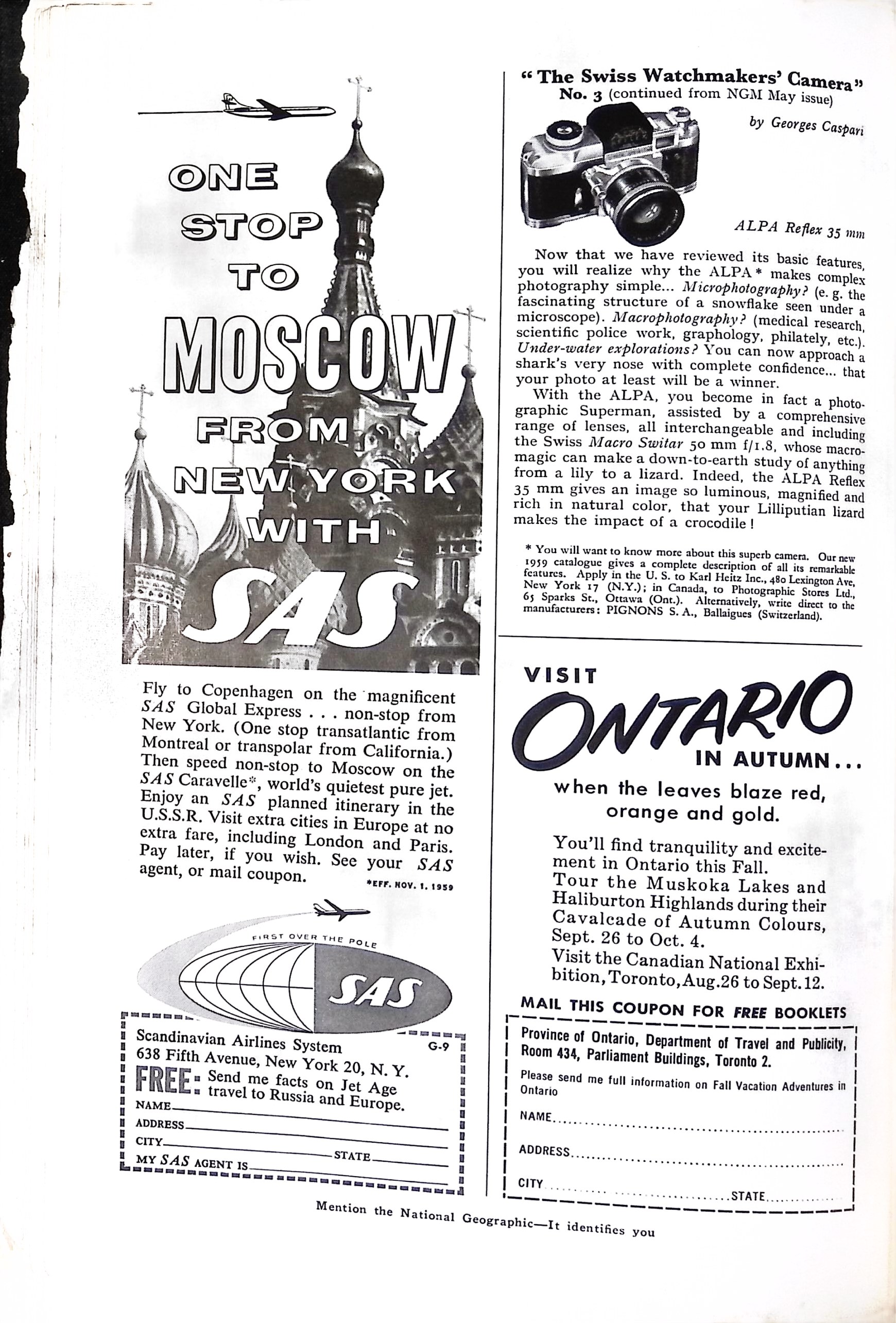 Advertisement IMG_2026_01_20_12_17_05_1