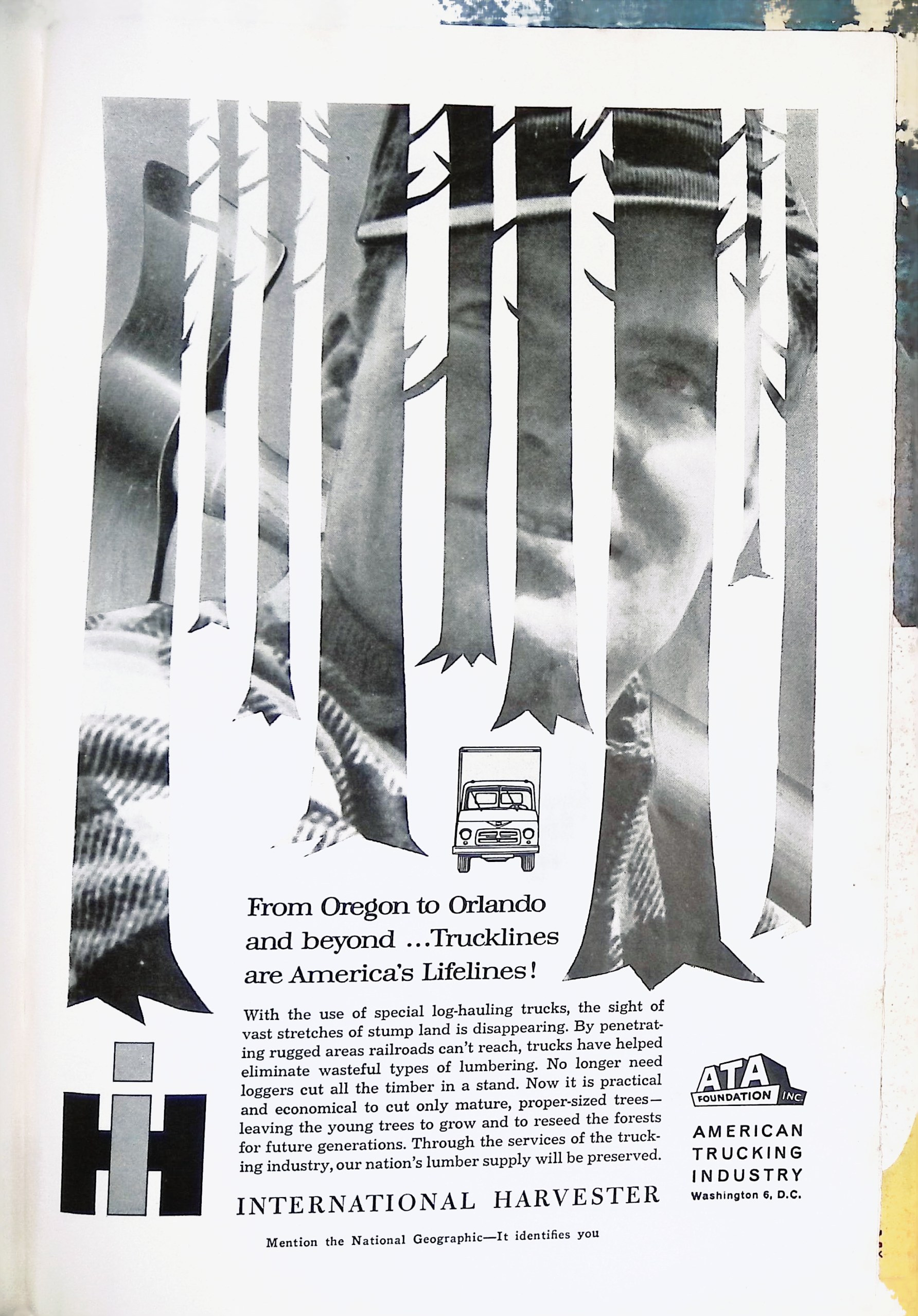 Advertisement IMG_2026_01_20_12_28_58_1