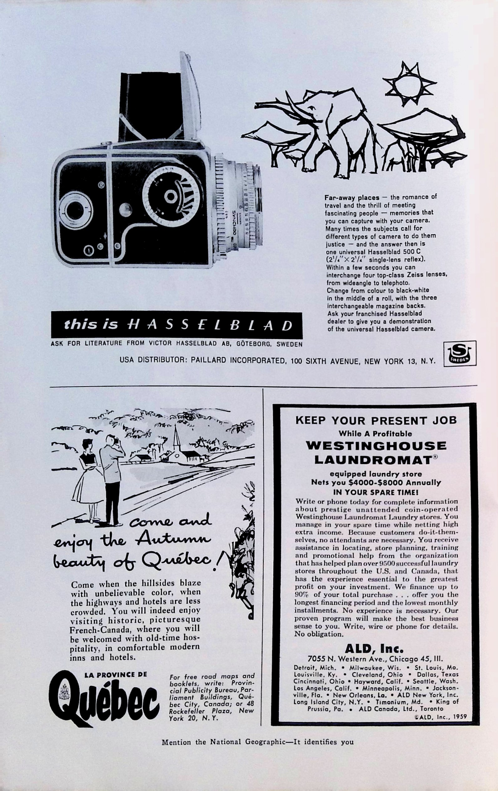 Advertisement IMG_2026_01_20_14_45_01L