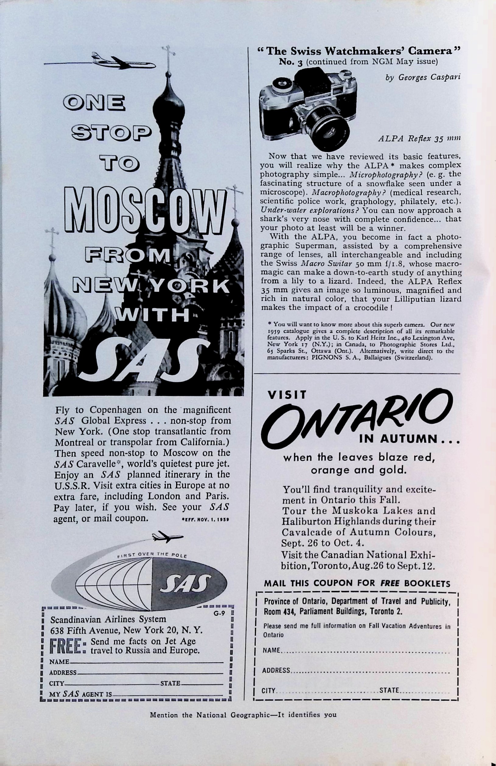 Advertisement IMG_2026_01_20_14_45_55L