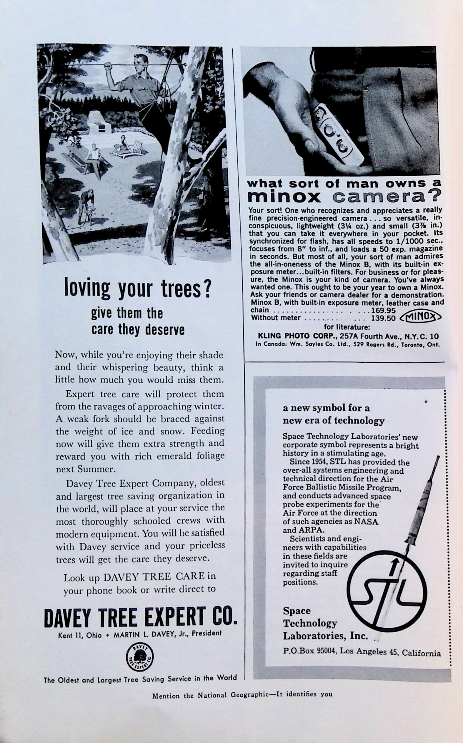 Advertisement IMG_2026_01_20_15_02_21L