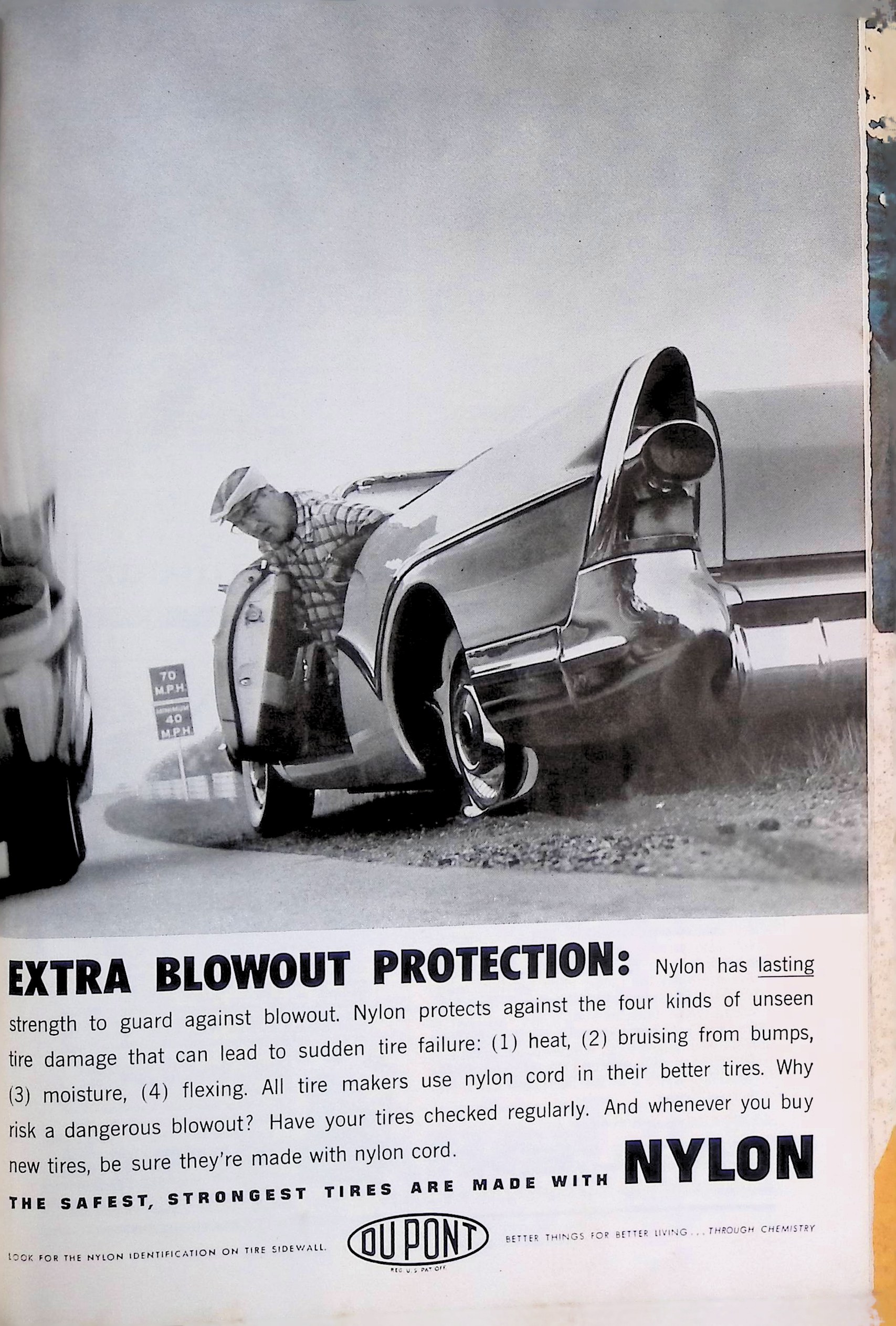 Advertisement IMG_2026_01_20_15_05_35S