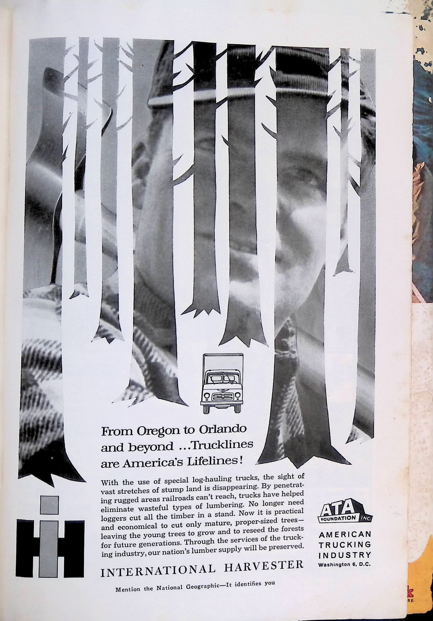 Advertisement IMG_2026_01_20_15_06_36S