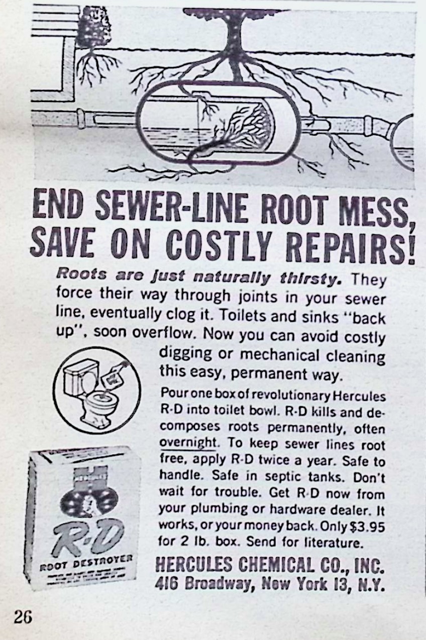 Advertisement image00028