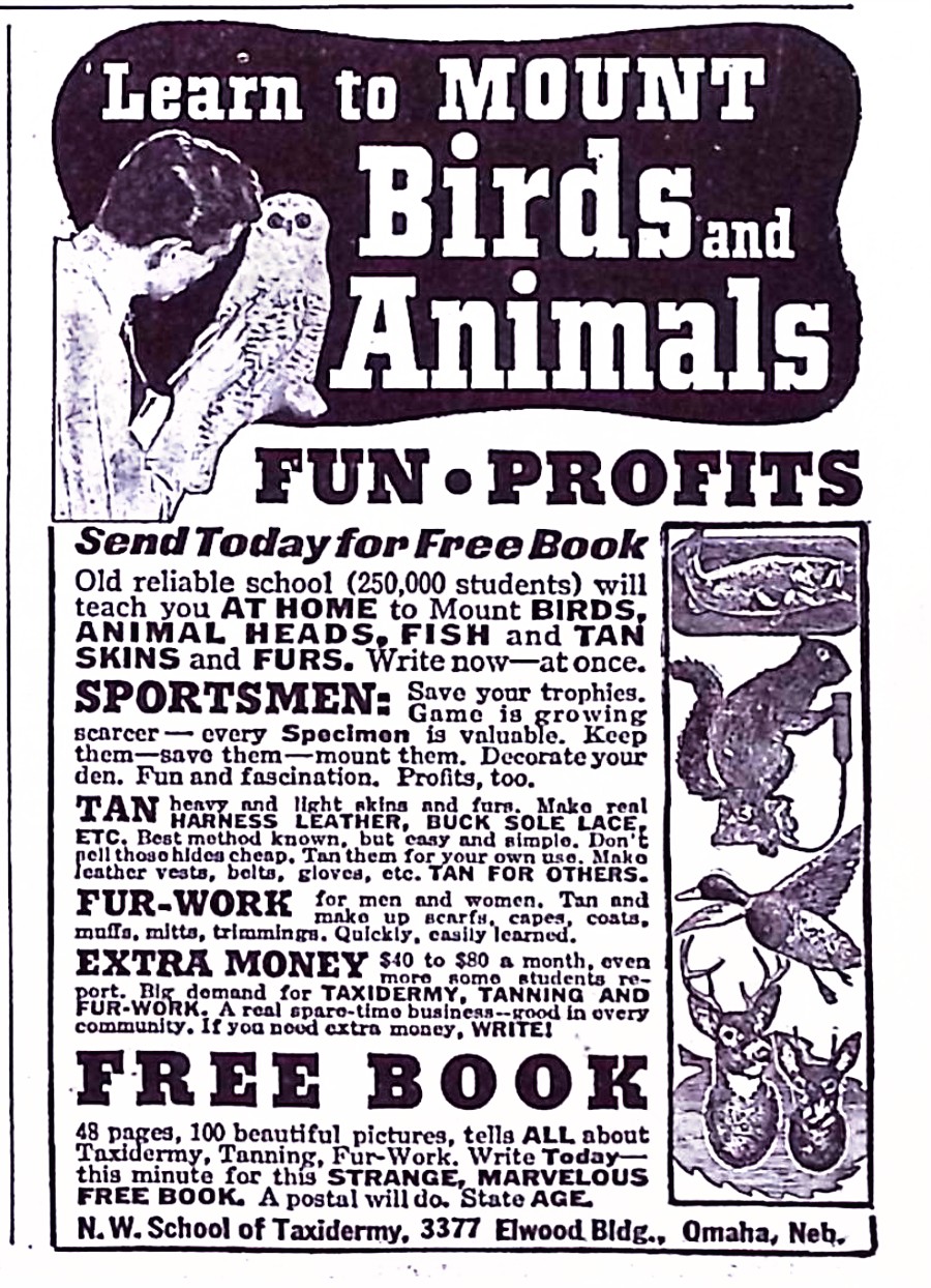 Advertisement image00058