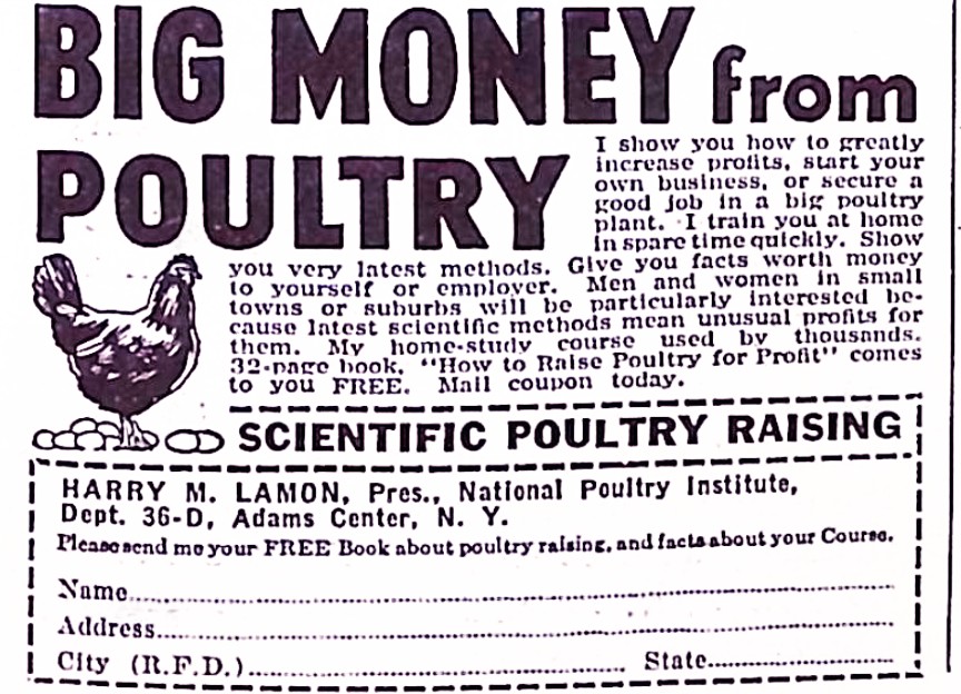 Advertisement image00136