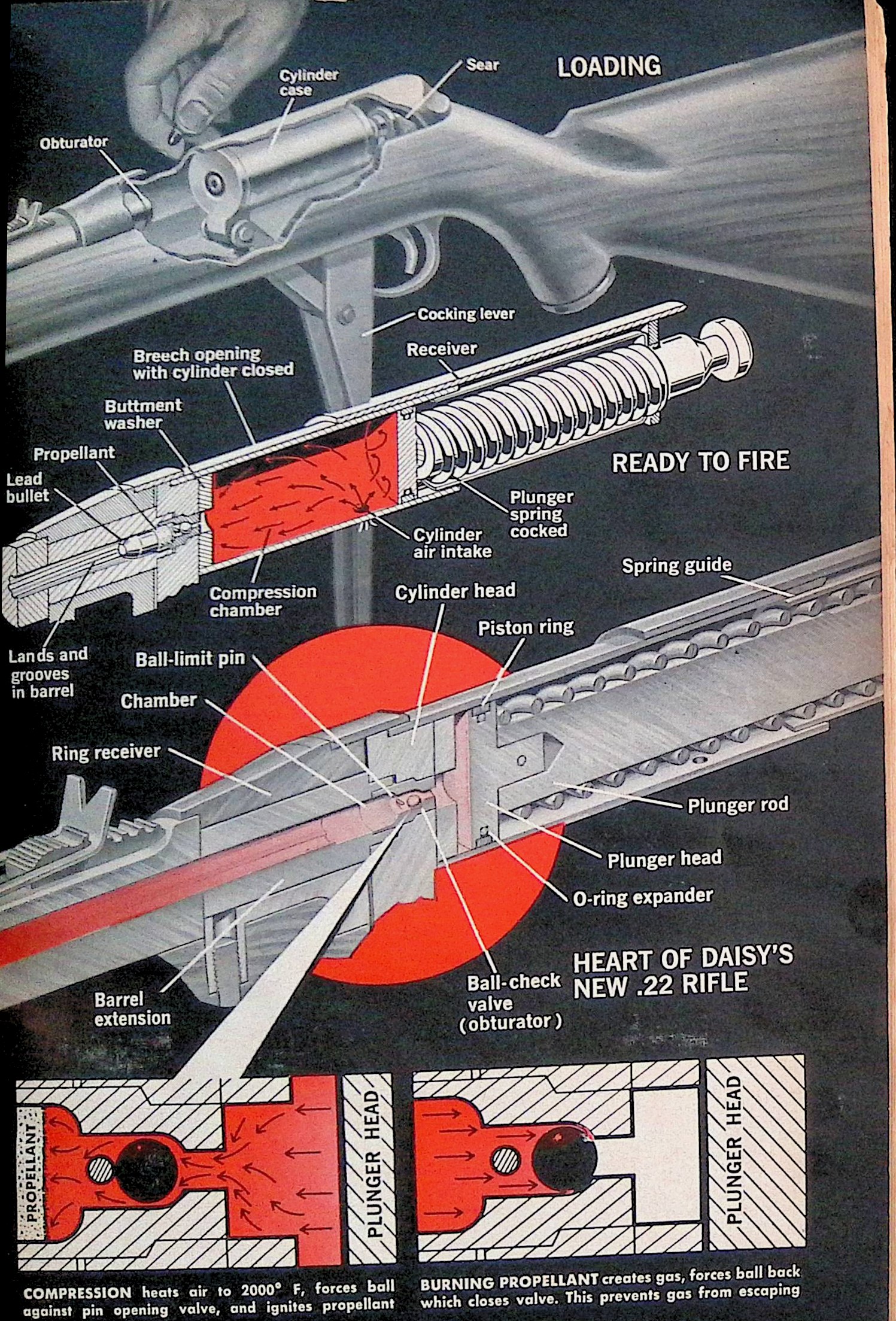 Advertisement ad0086