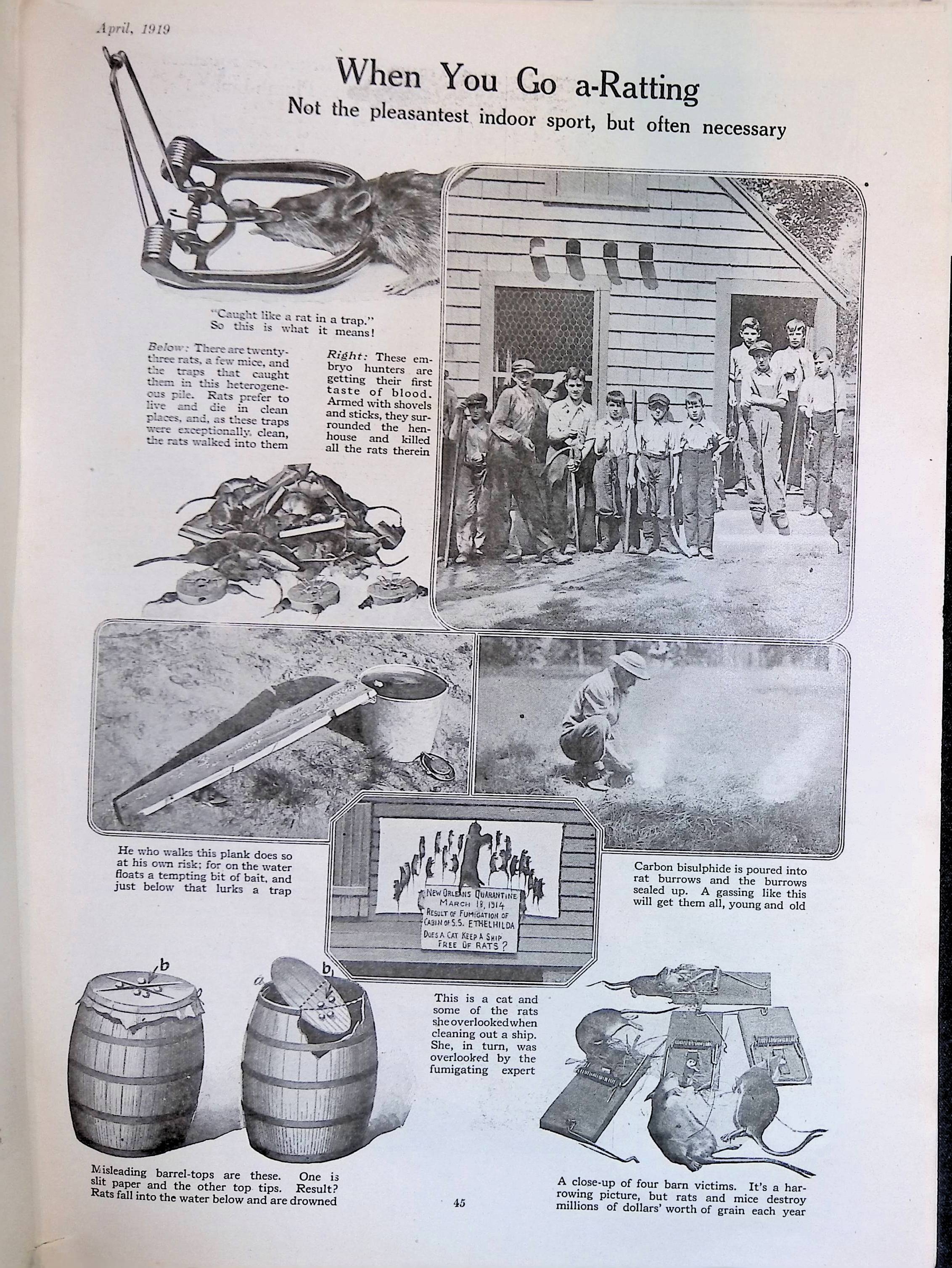 Advertisement ad0017