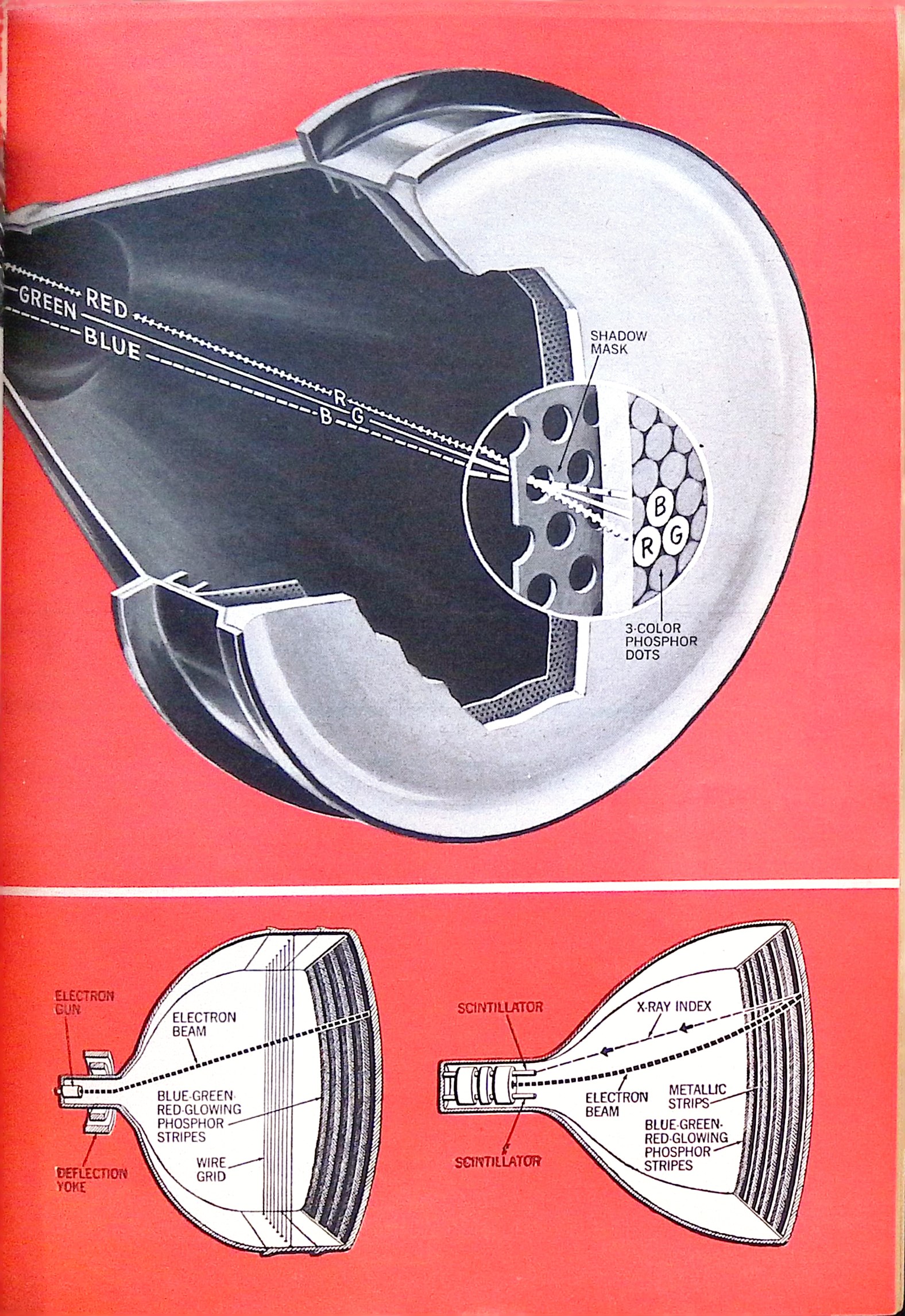 Advertisement ad0036