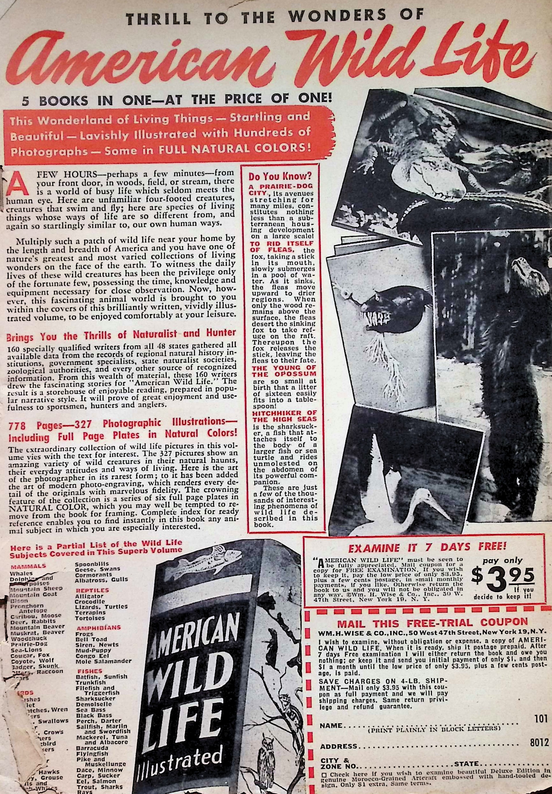 Advertisement image00003