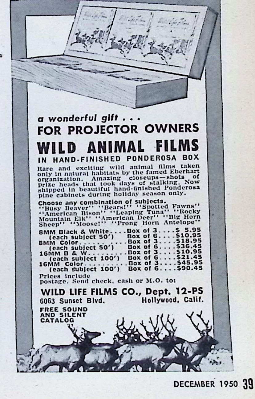 Advertisement image00091