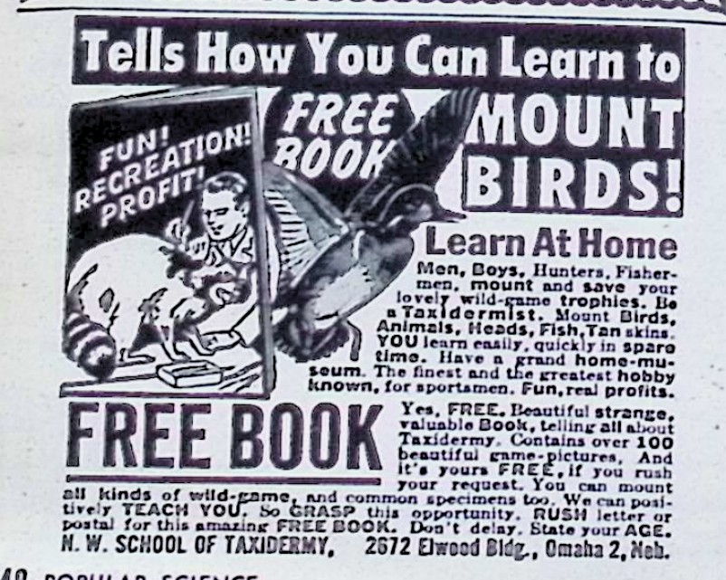 Advertisement image00124