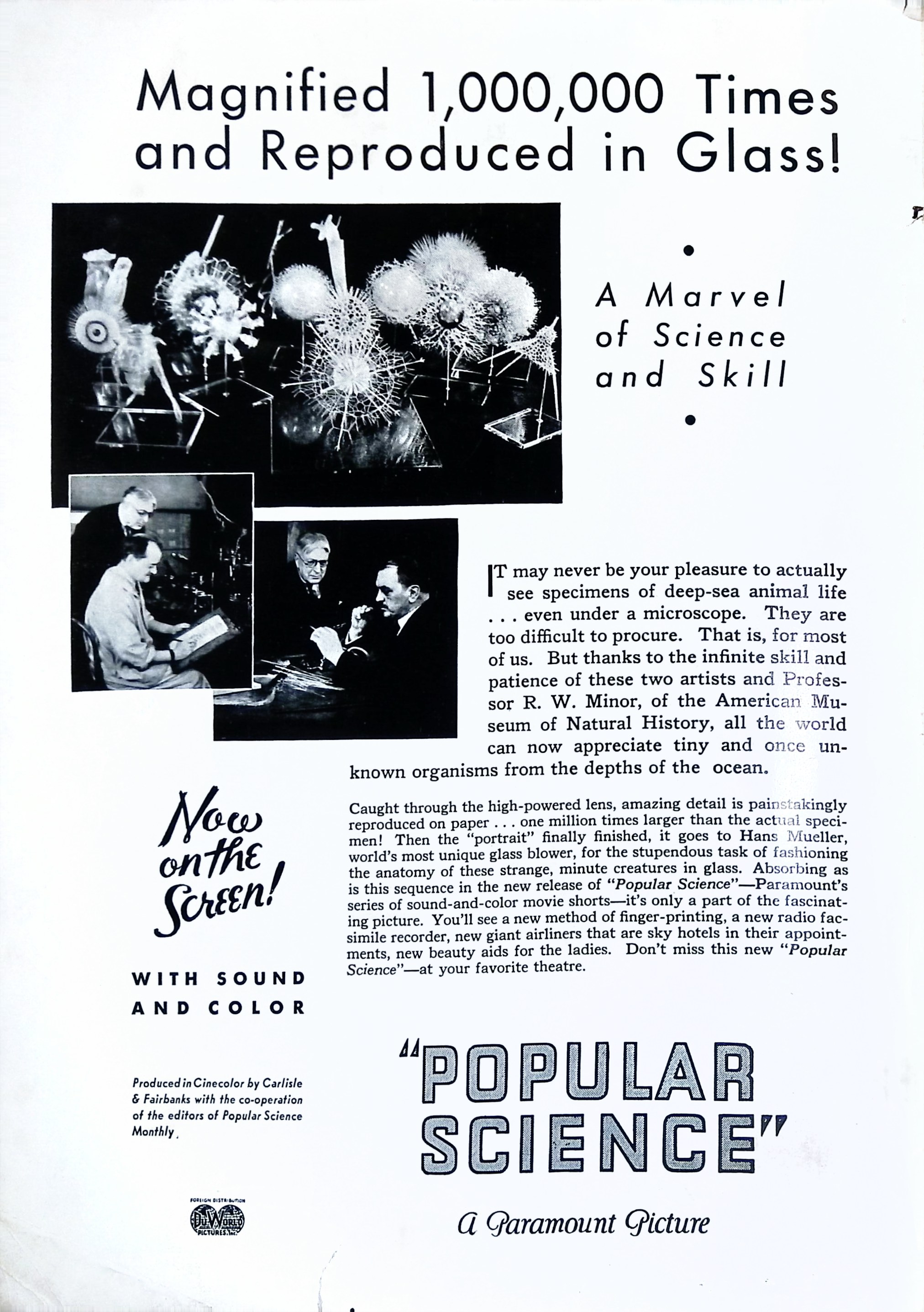 Advertisement ad0002