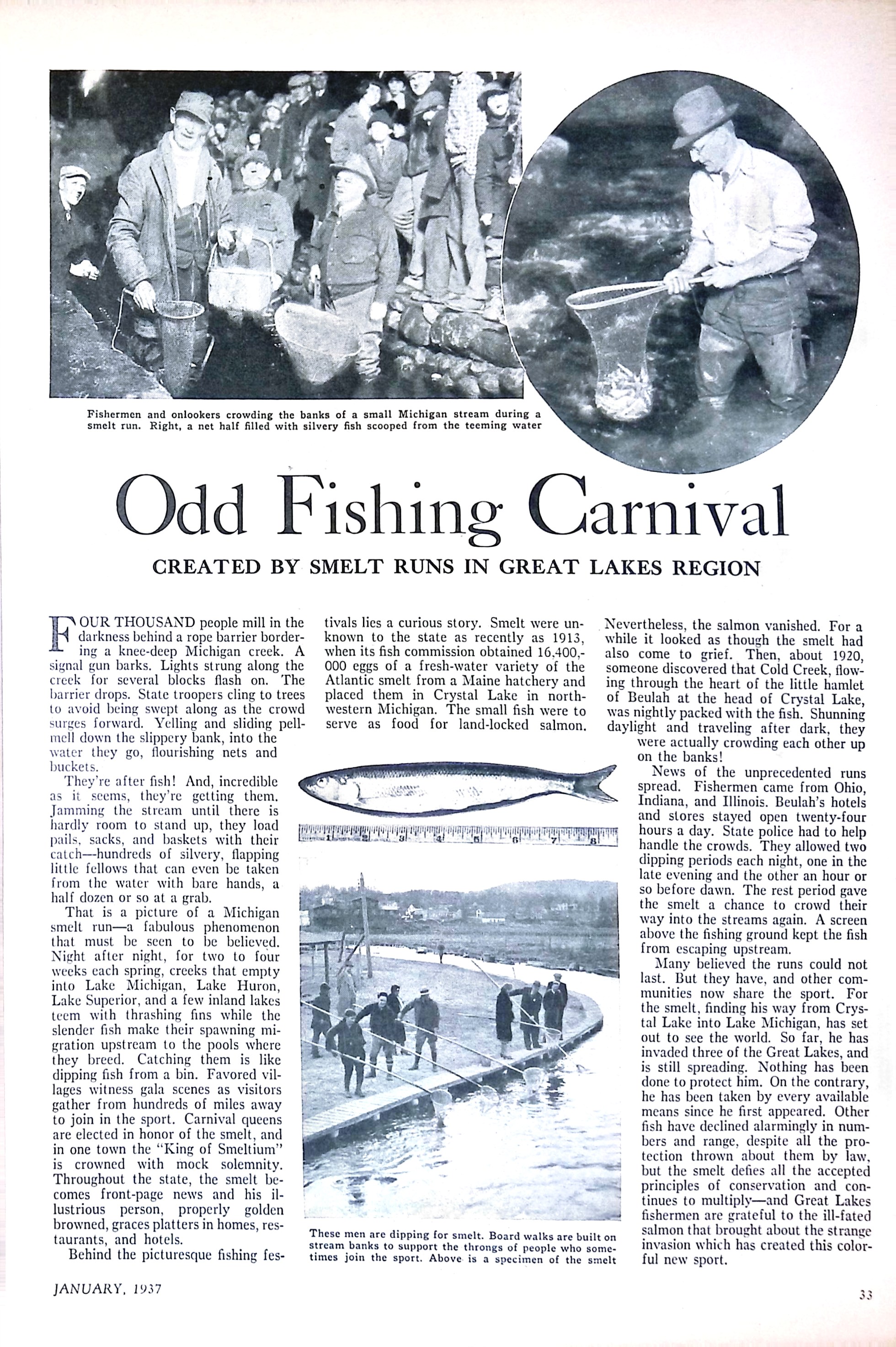 Advertisement ad0022