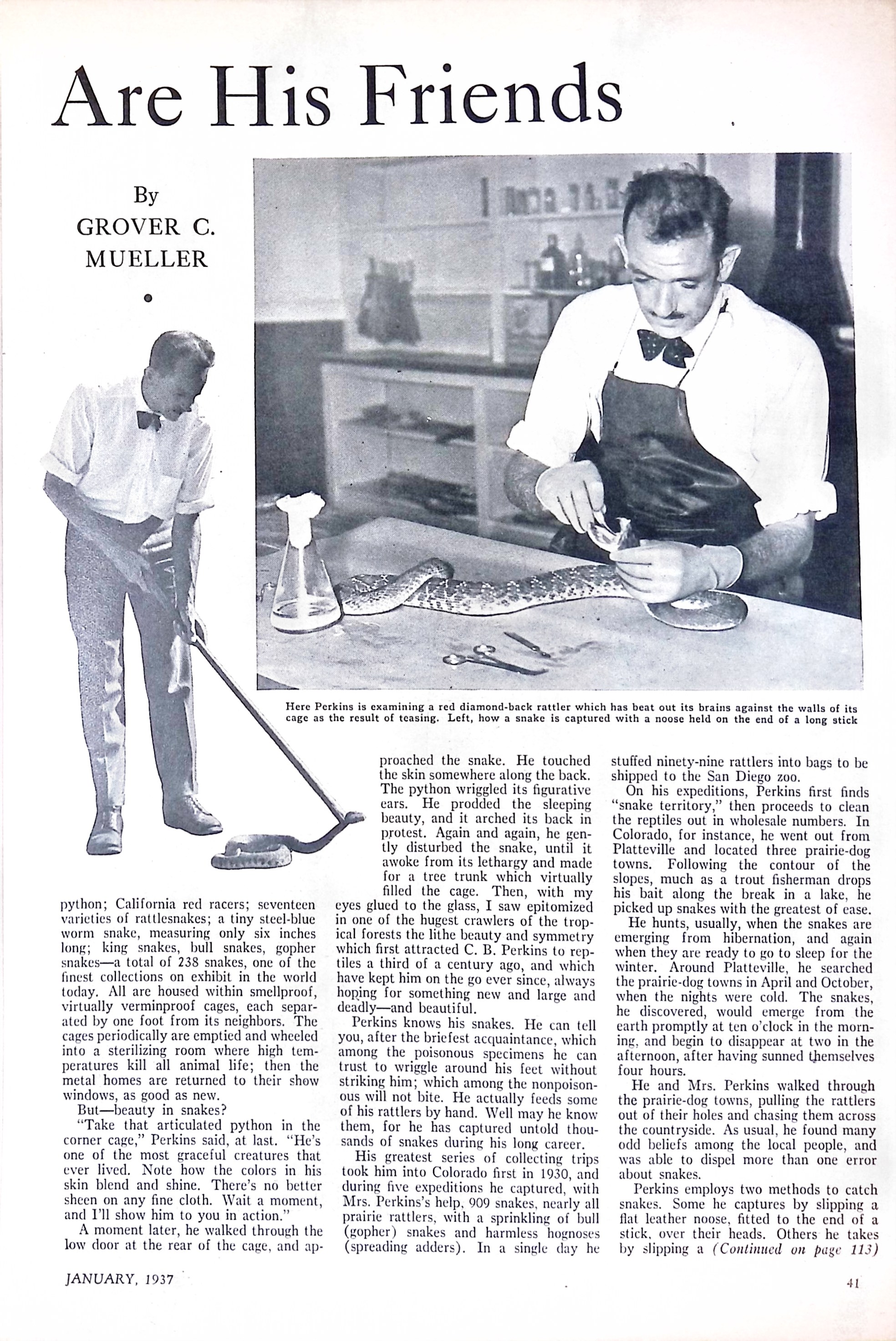 Advertisement ad0028