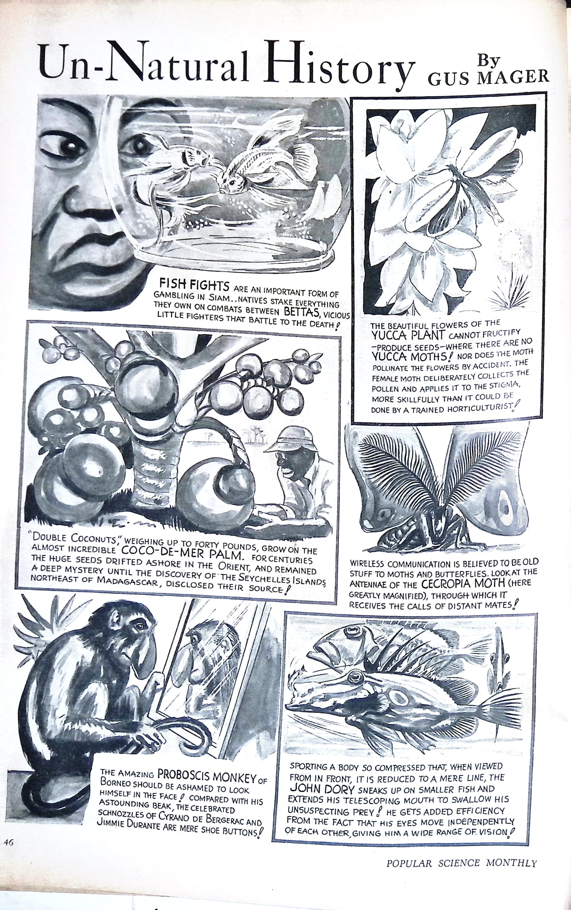 Advertisement ad0031