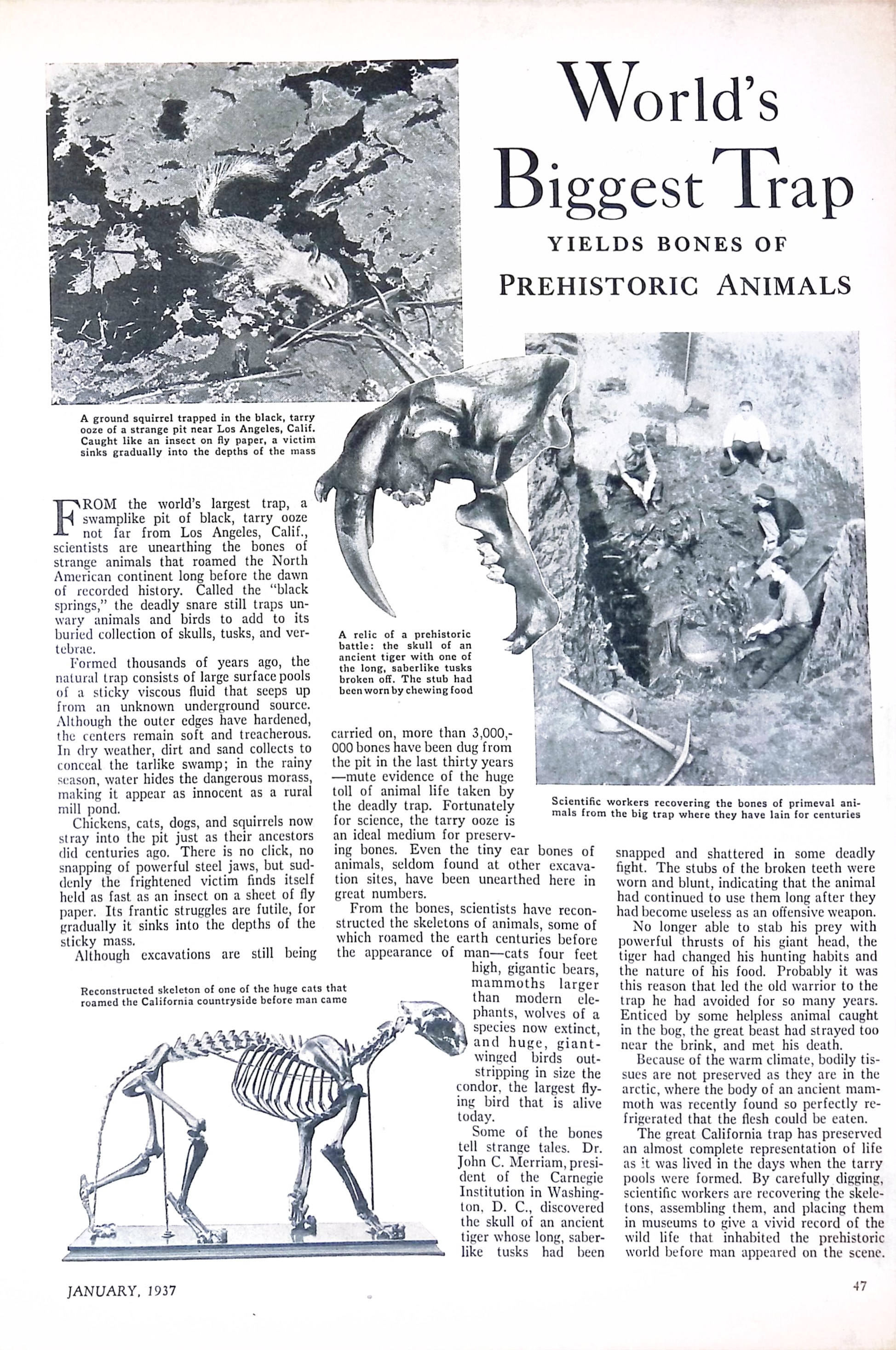 Advertisement ad0032