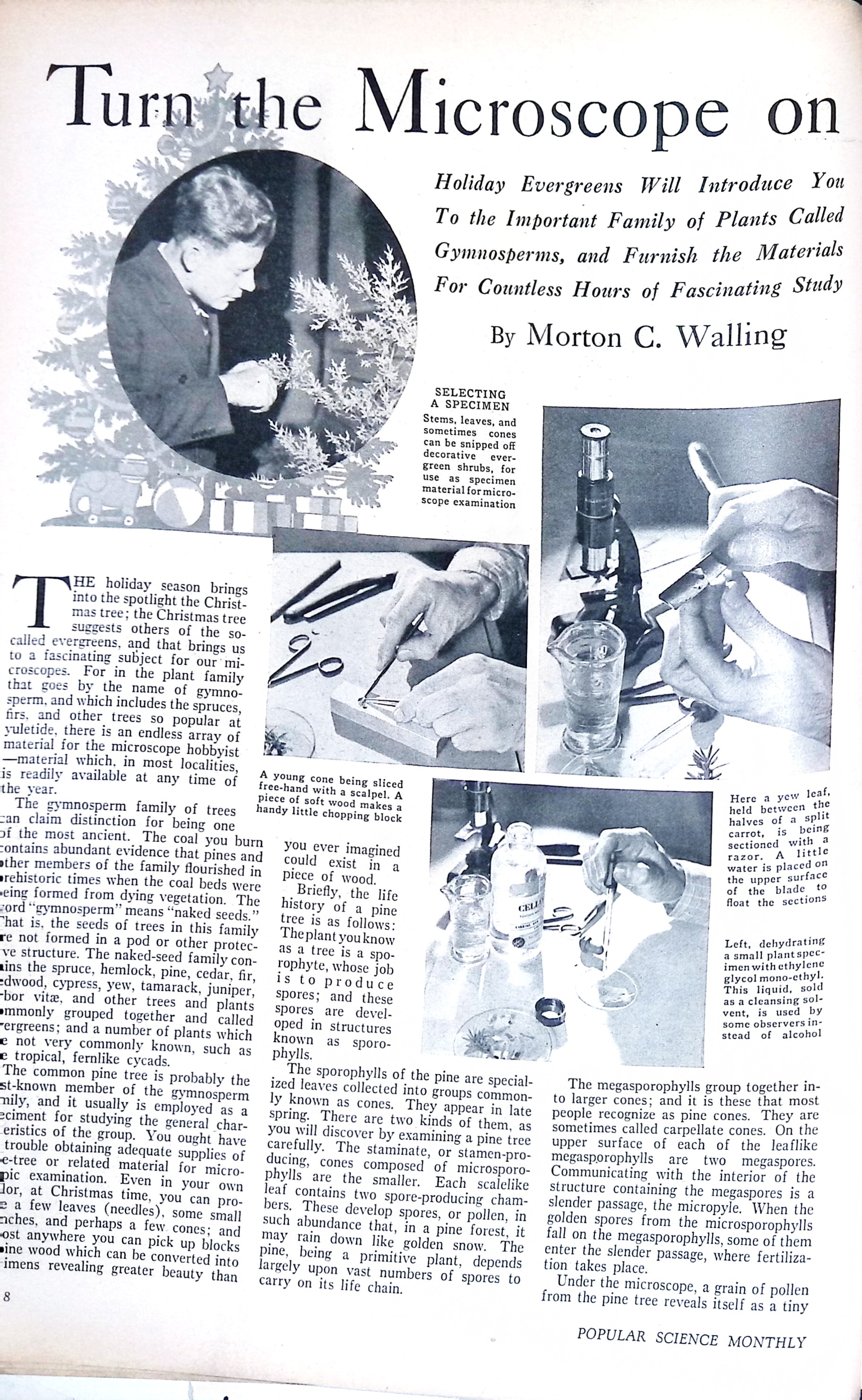 Advertisement ad0033