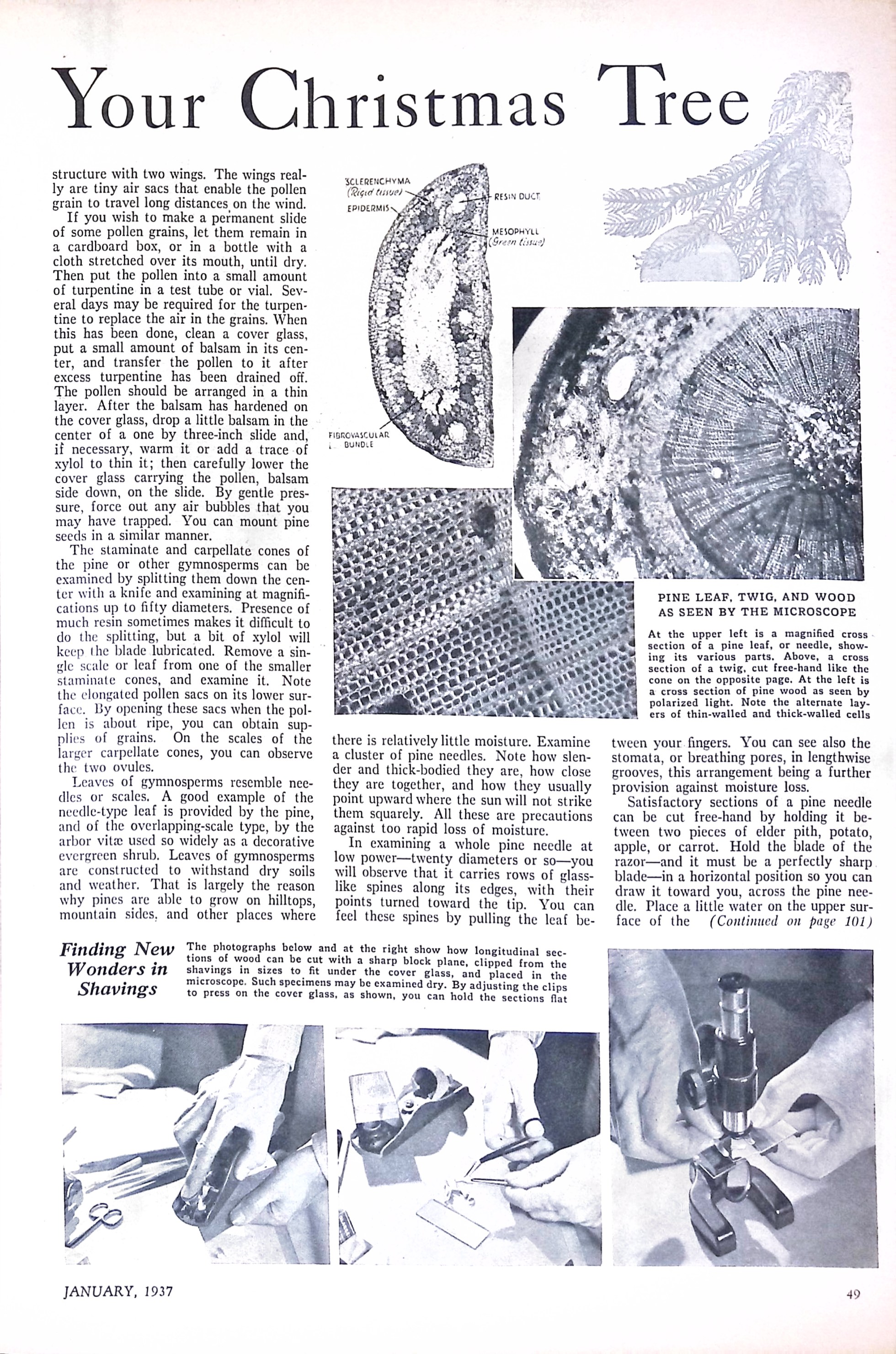 Advertisement ad0034