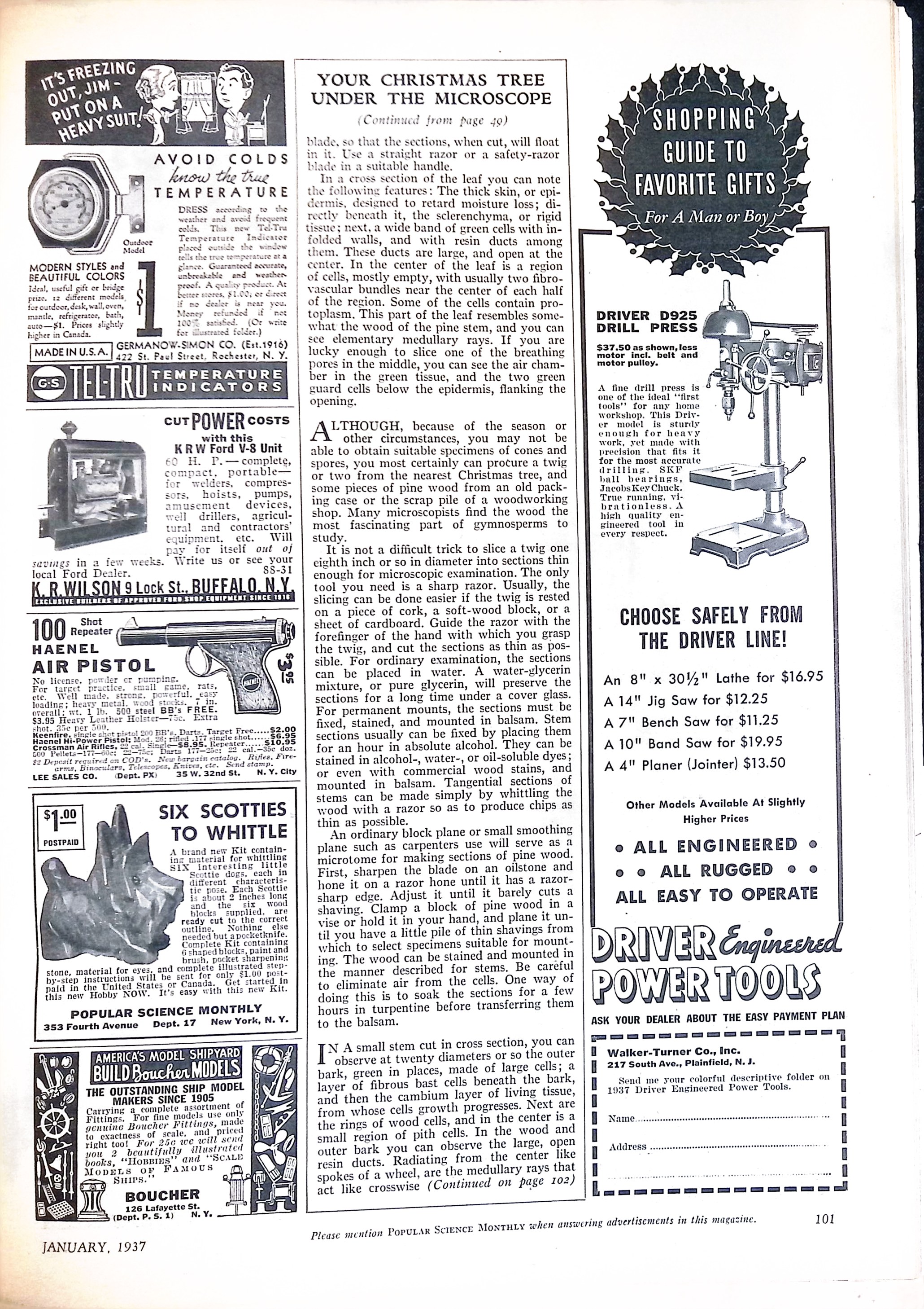 Advertisement ad0085