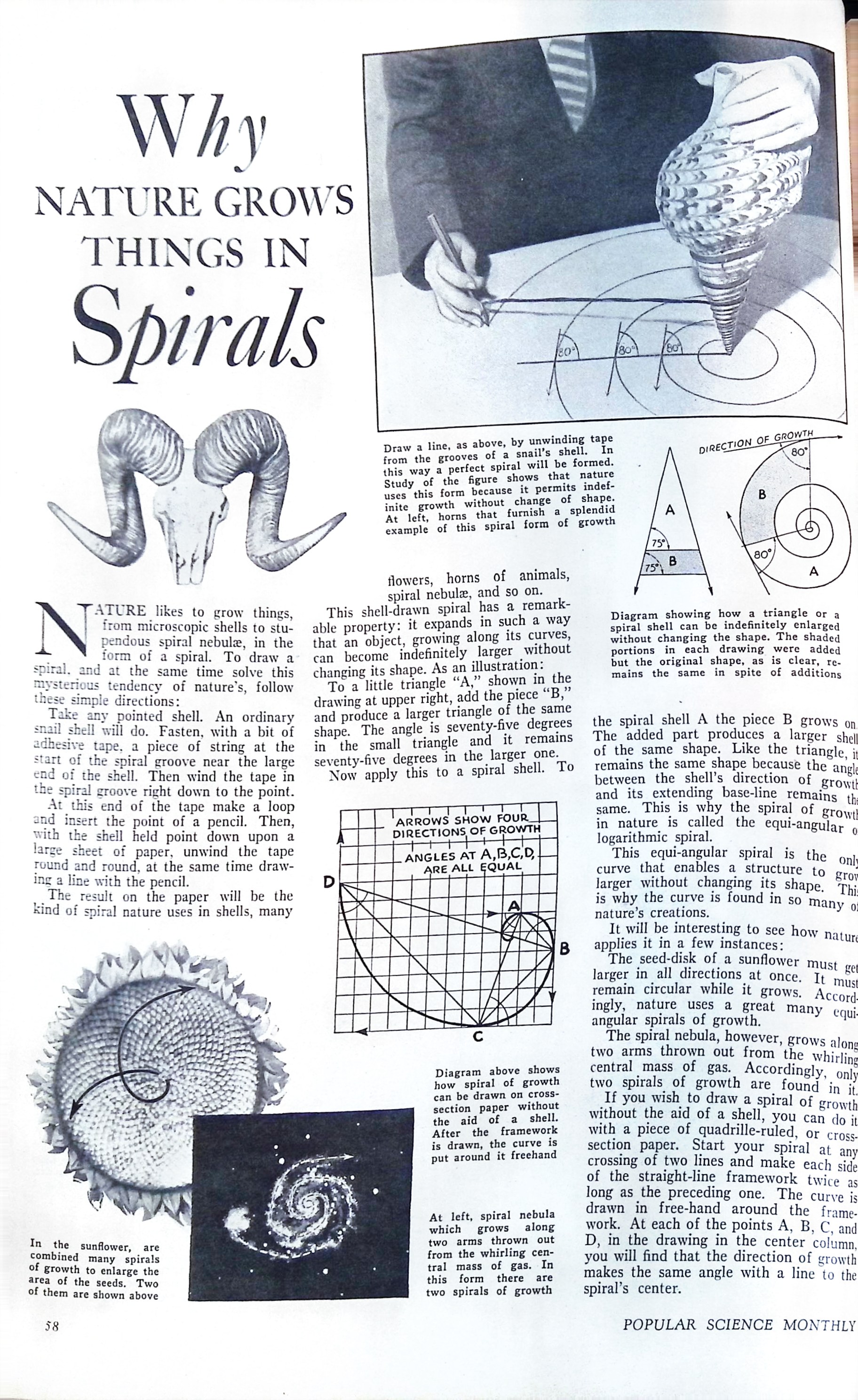 Advertisement ad0020