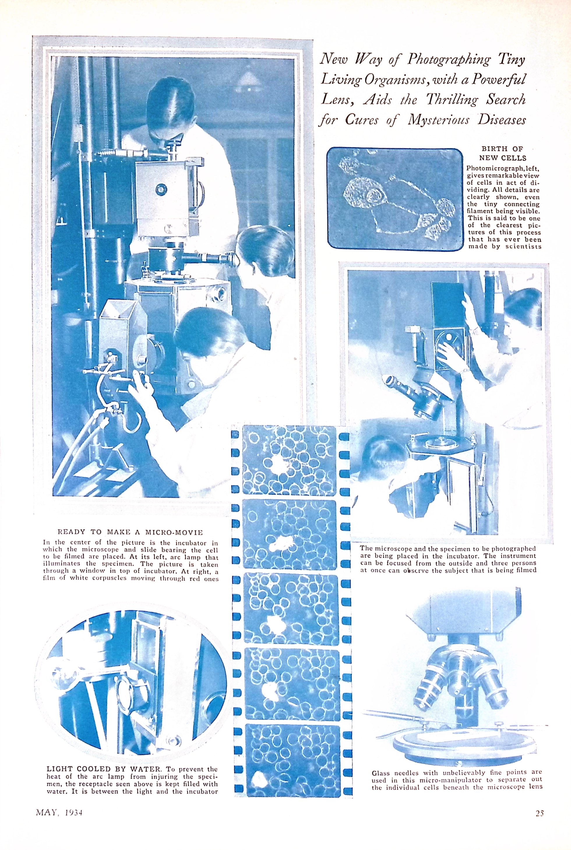 Advertisement ad0015