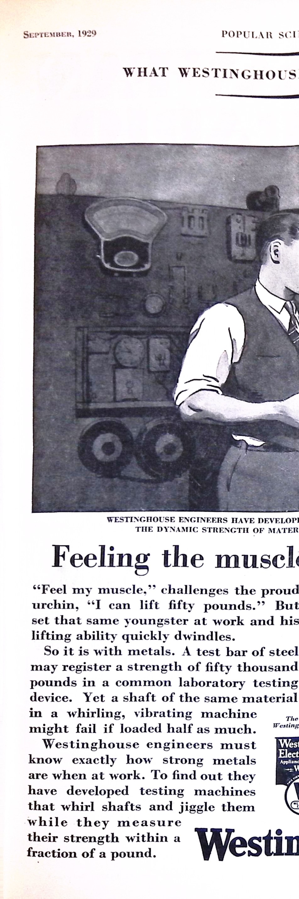 Advertisement ad0009