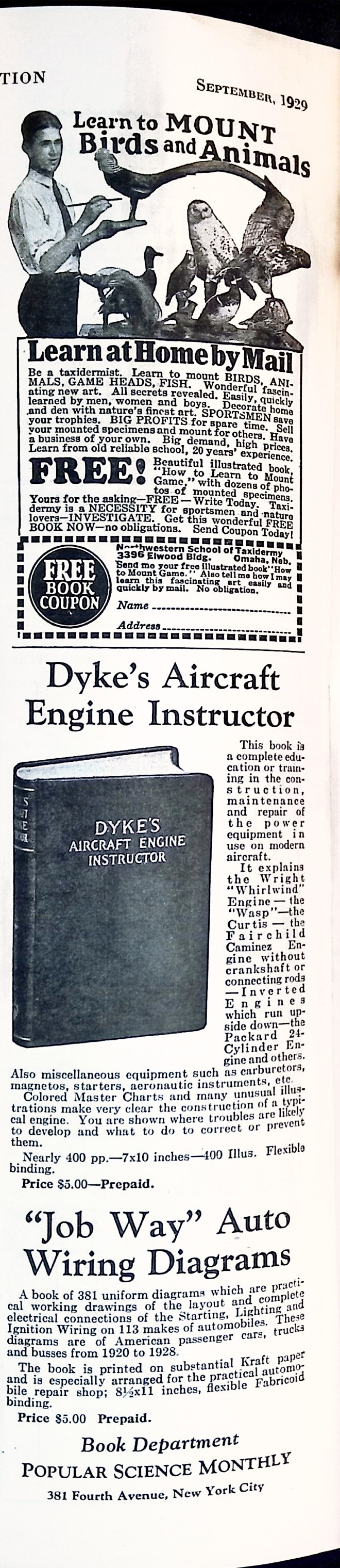 Advertisement ad0079