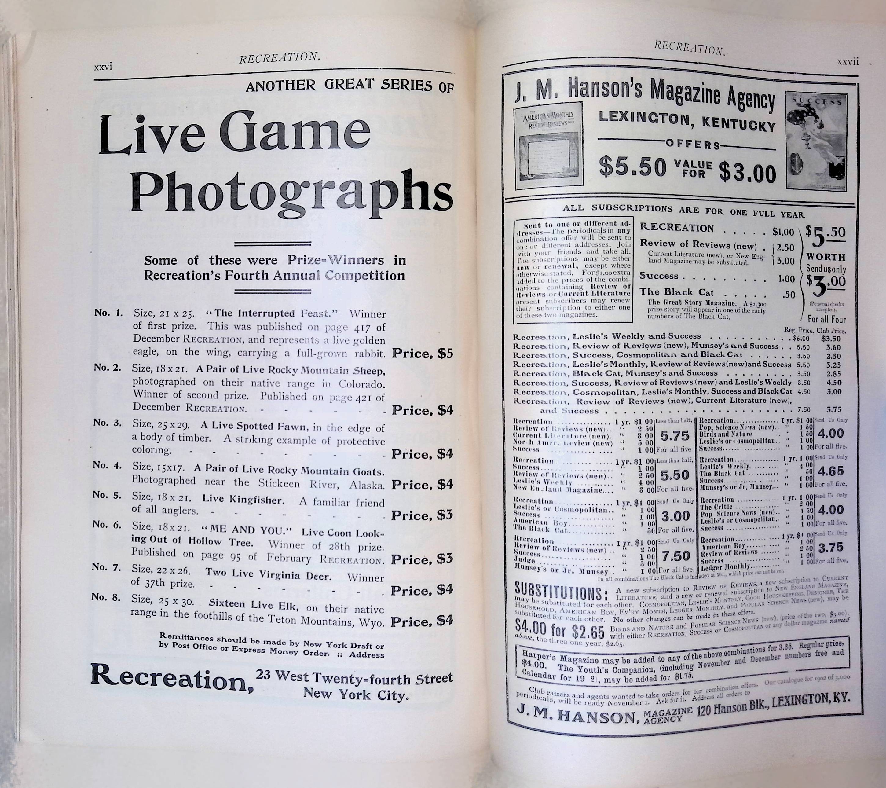 Advertisement ad0017