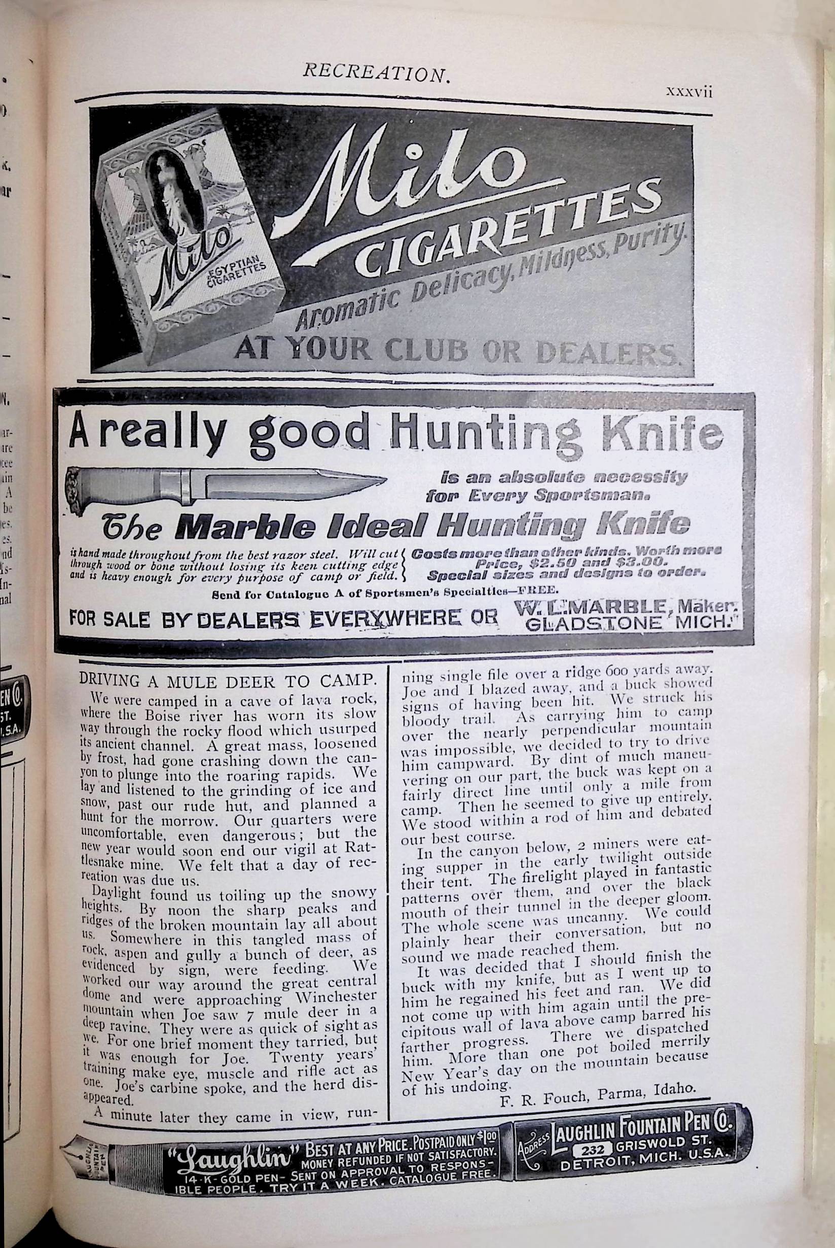 Advertisement ad0024
