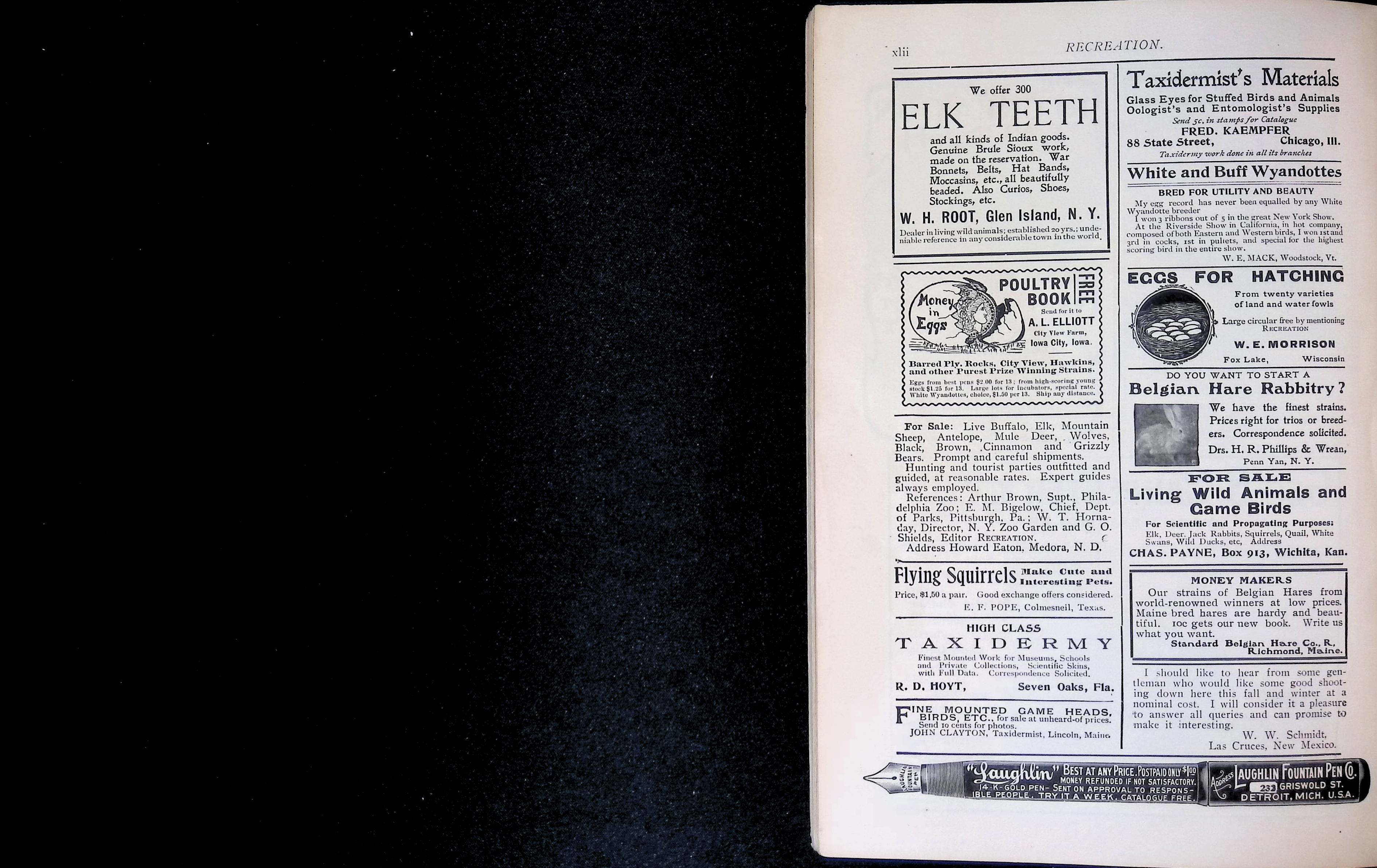 Advertisement ad0029