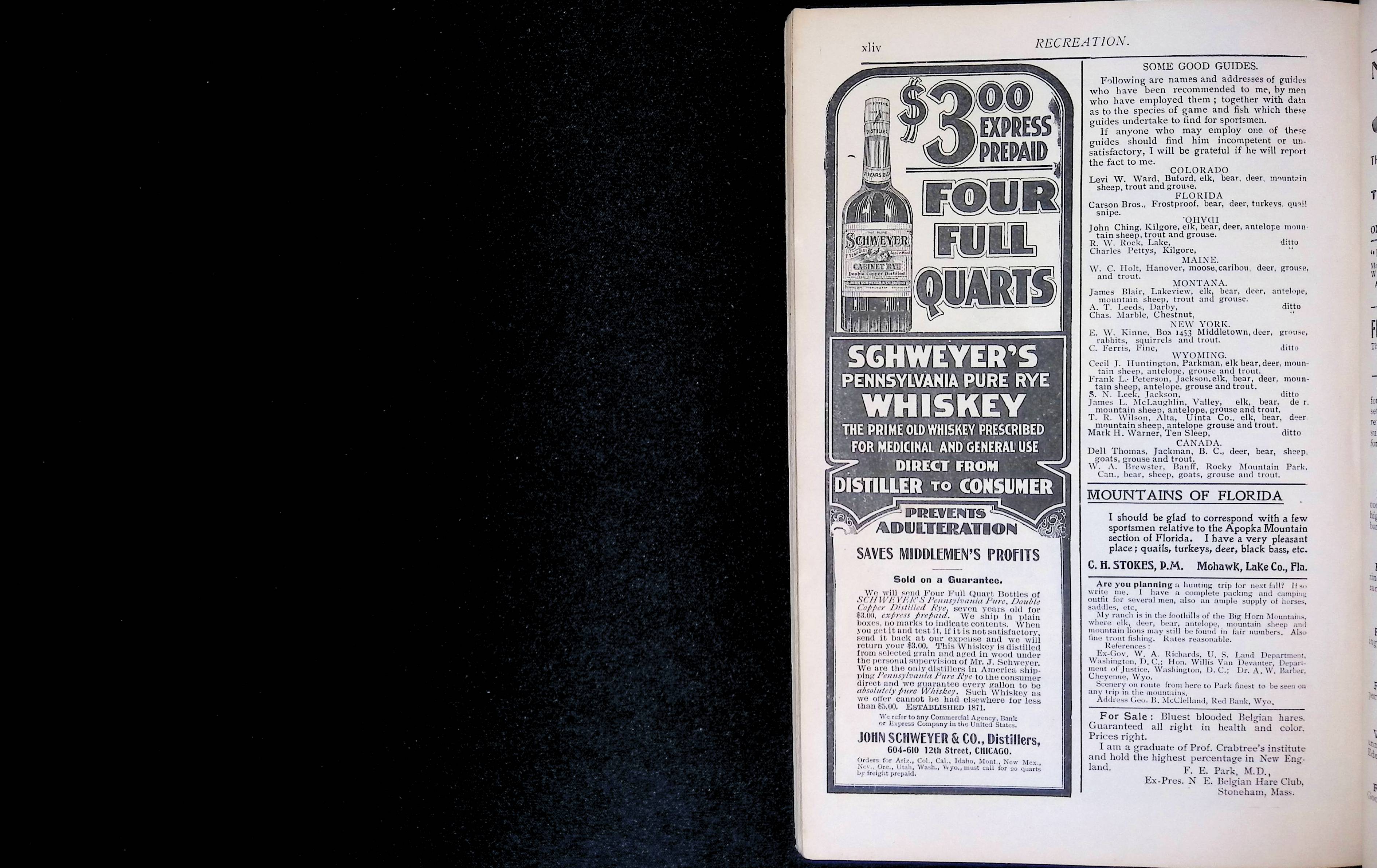 Advertisement ad0031