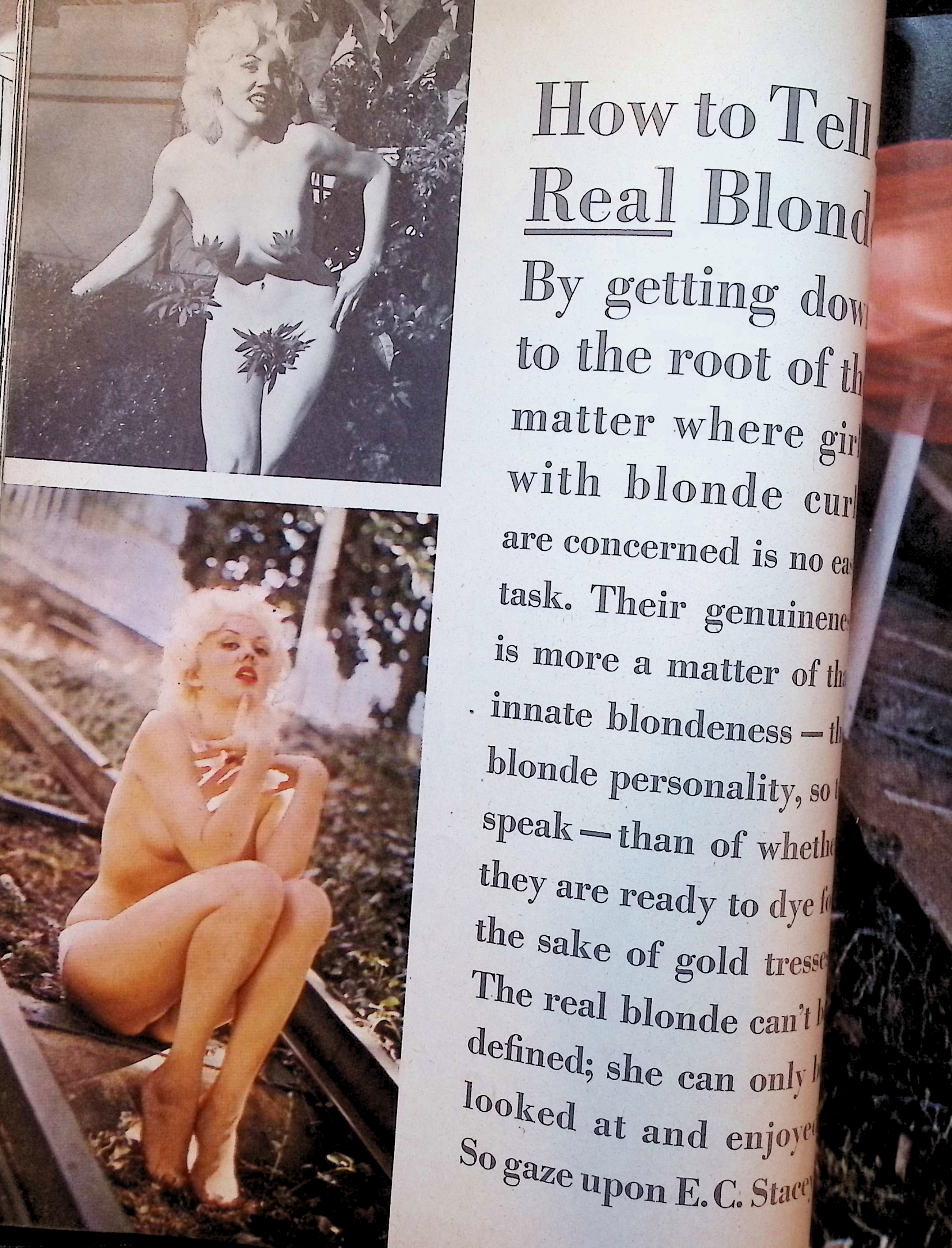 Advertisement image00055